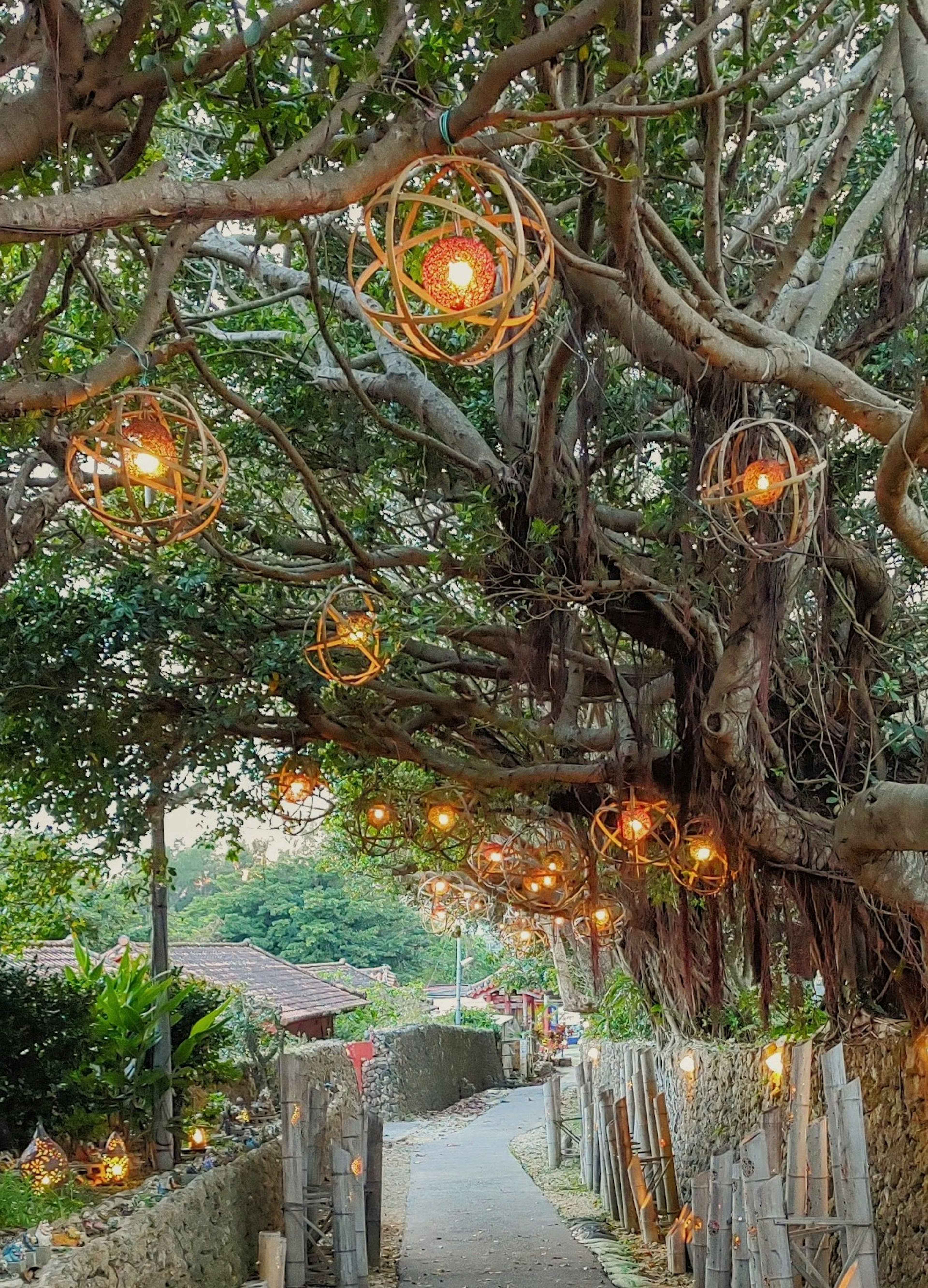 Pathway adorned with warm light decorations hanging from trees