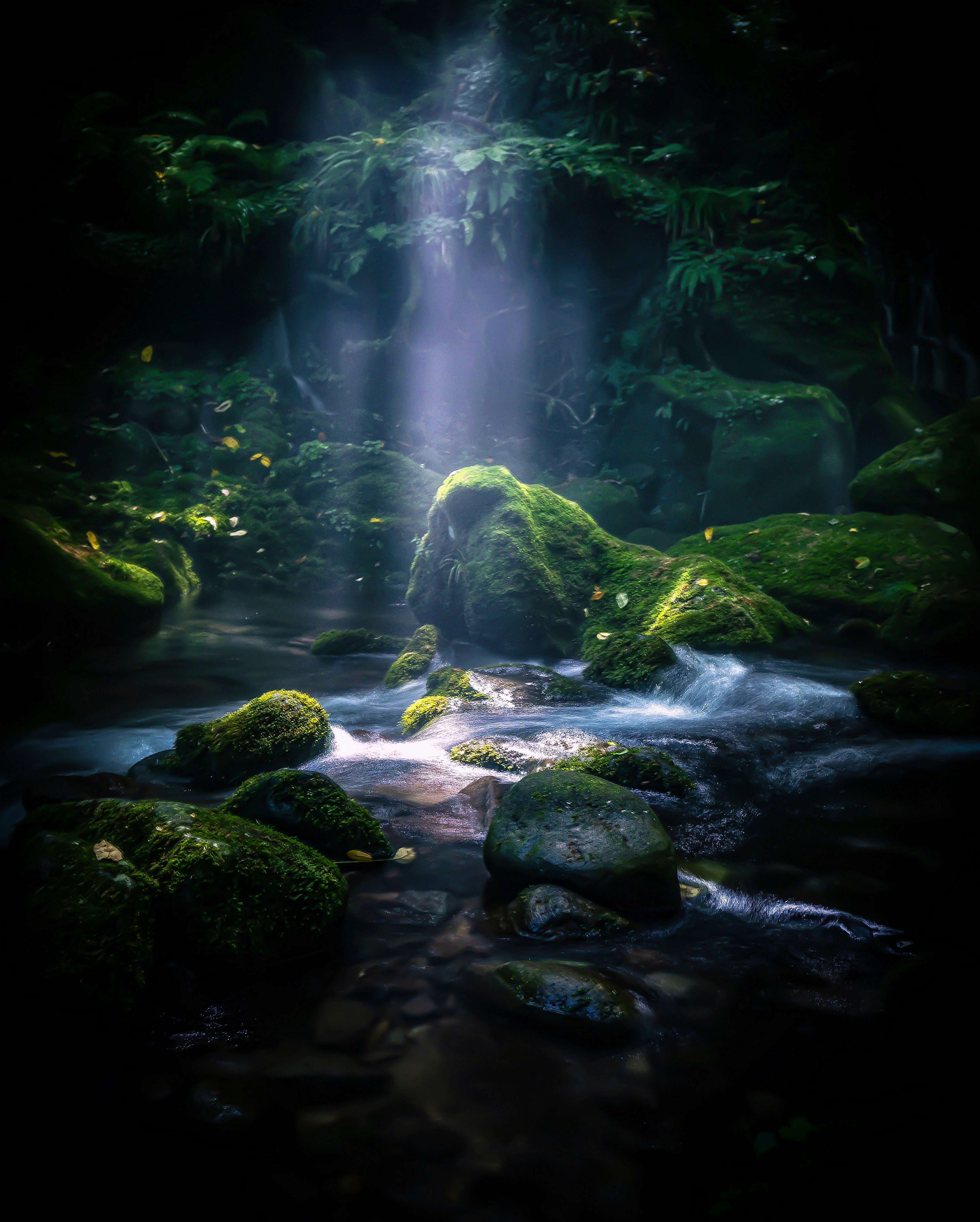 青々とした苔に覆われた岩と流れる水の流れを持つ神秘的な森の風景