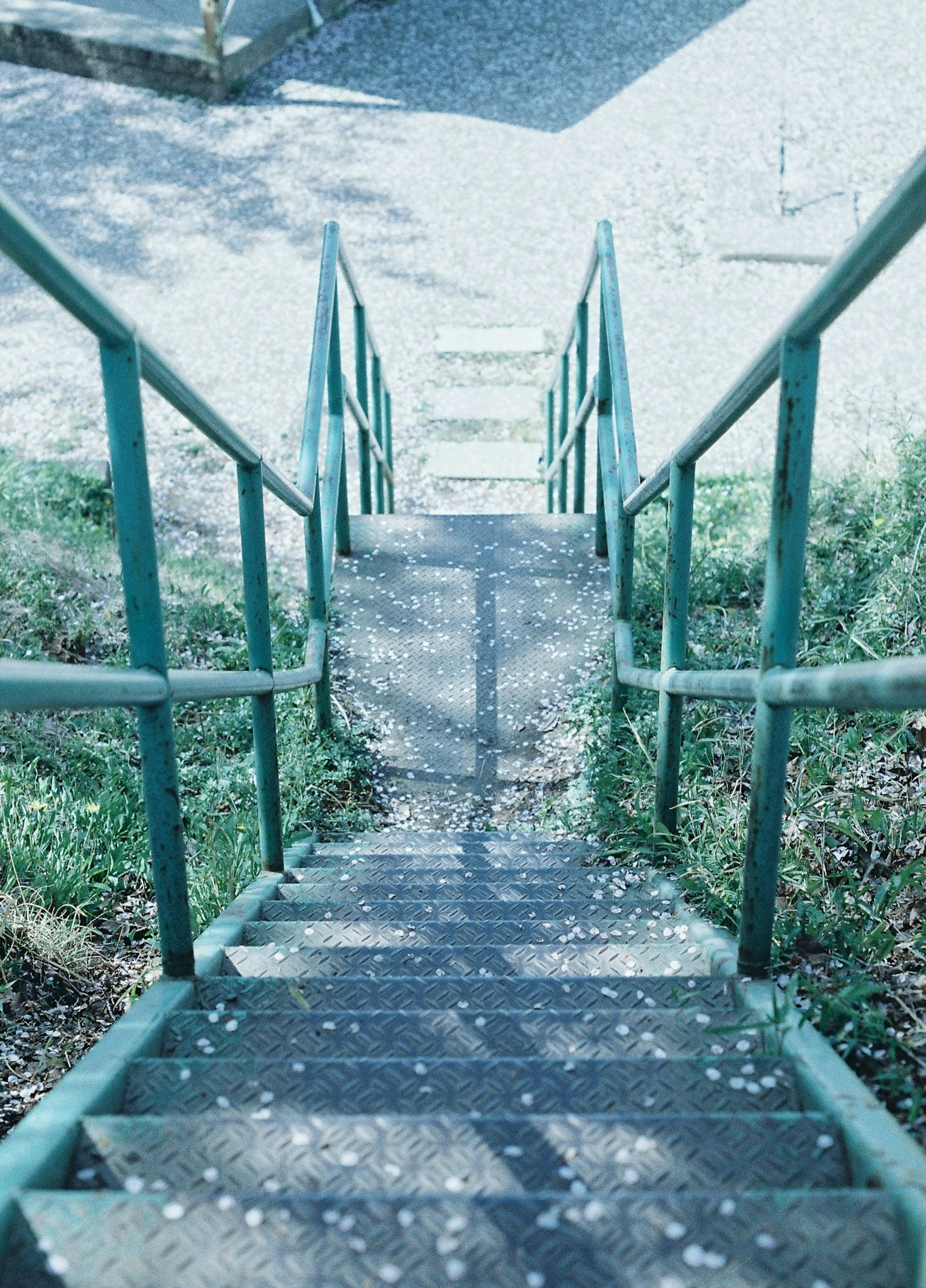 Vista desde la parte superior de una escalera con barandillas verdes pétalos de flores esparcidos por los escalones