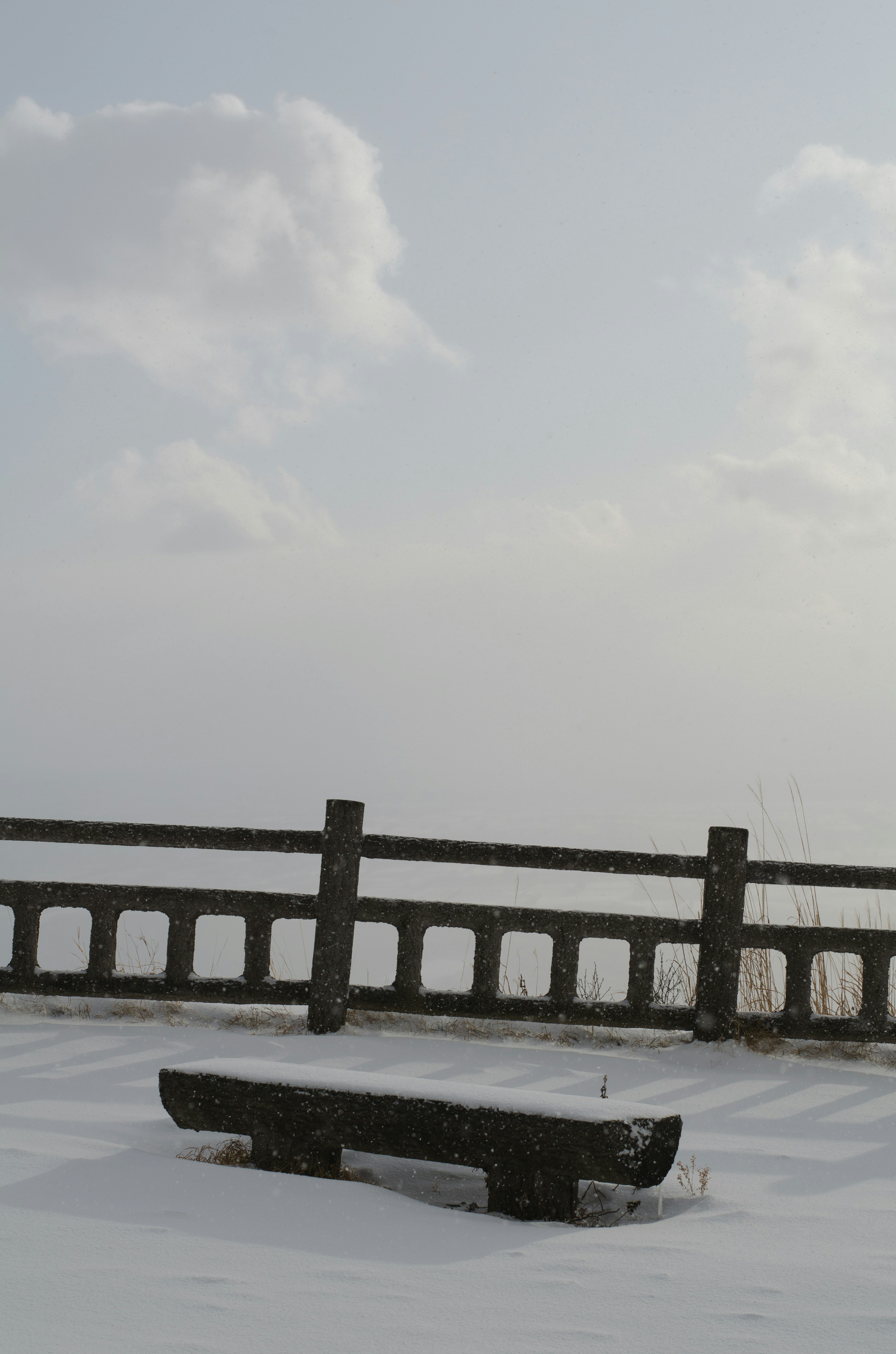 Snow-covered bench with a fence in the background