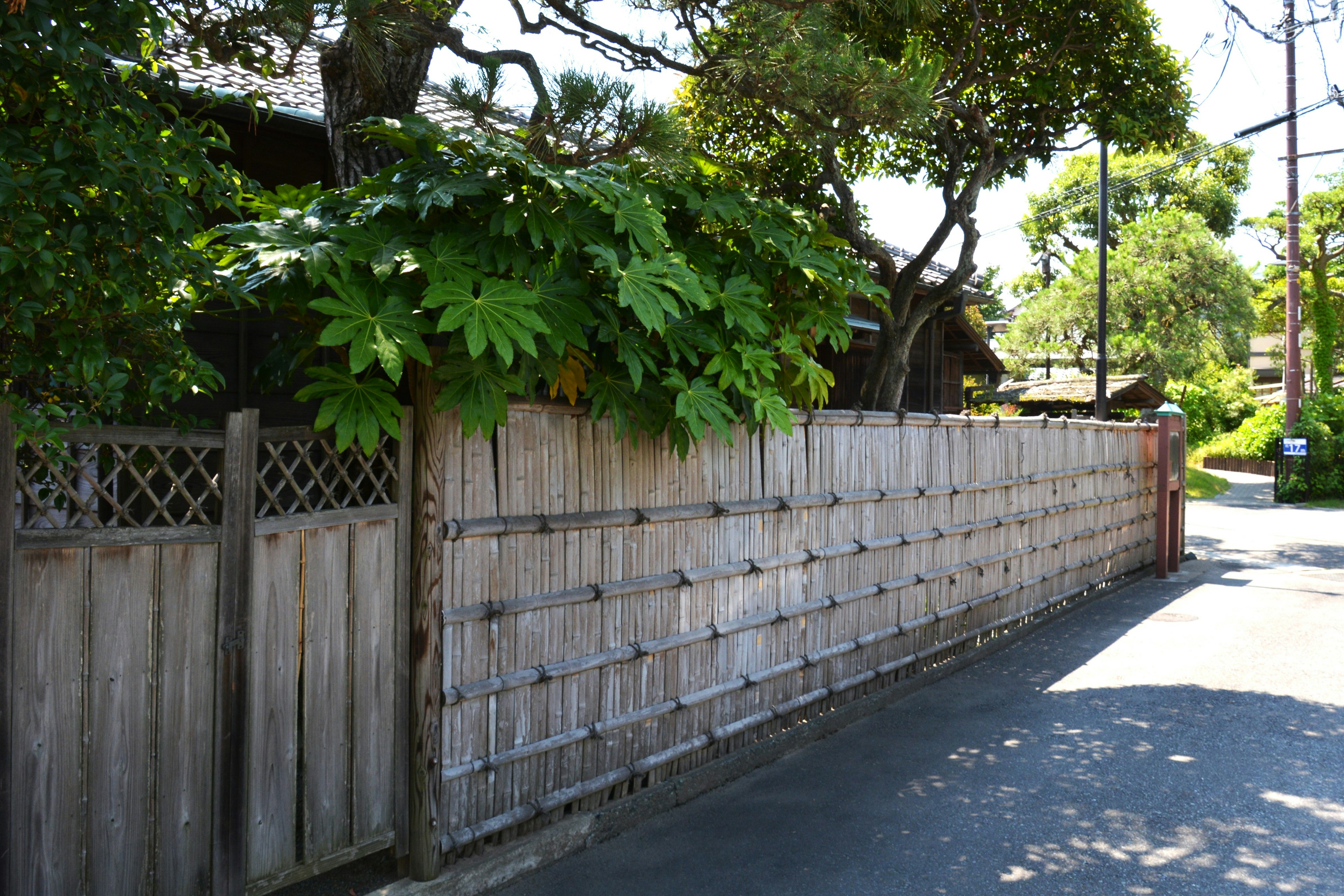 Wooden fence with lush green plants in a quiet street