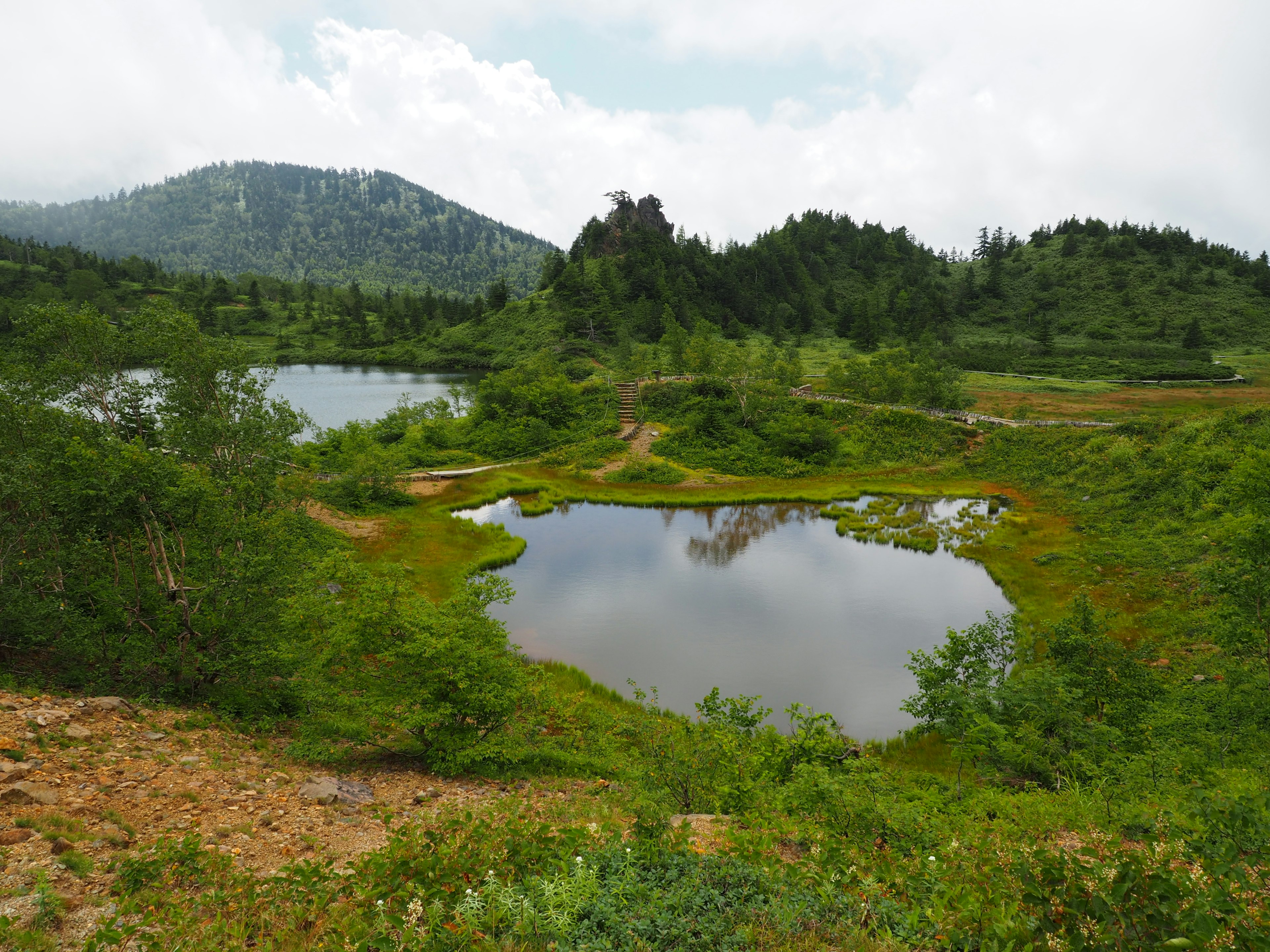 被郁郁葱葱的绿色植物和山脉环绕的小池塘的风景