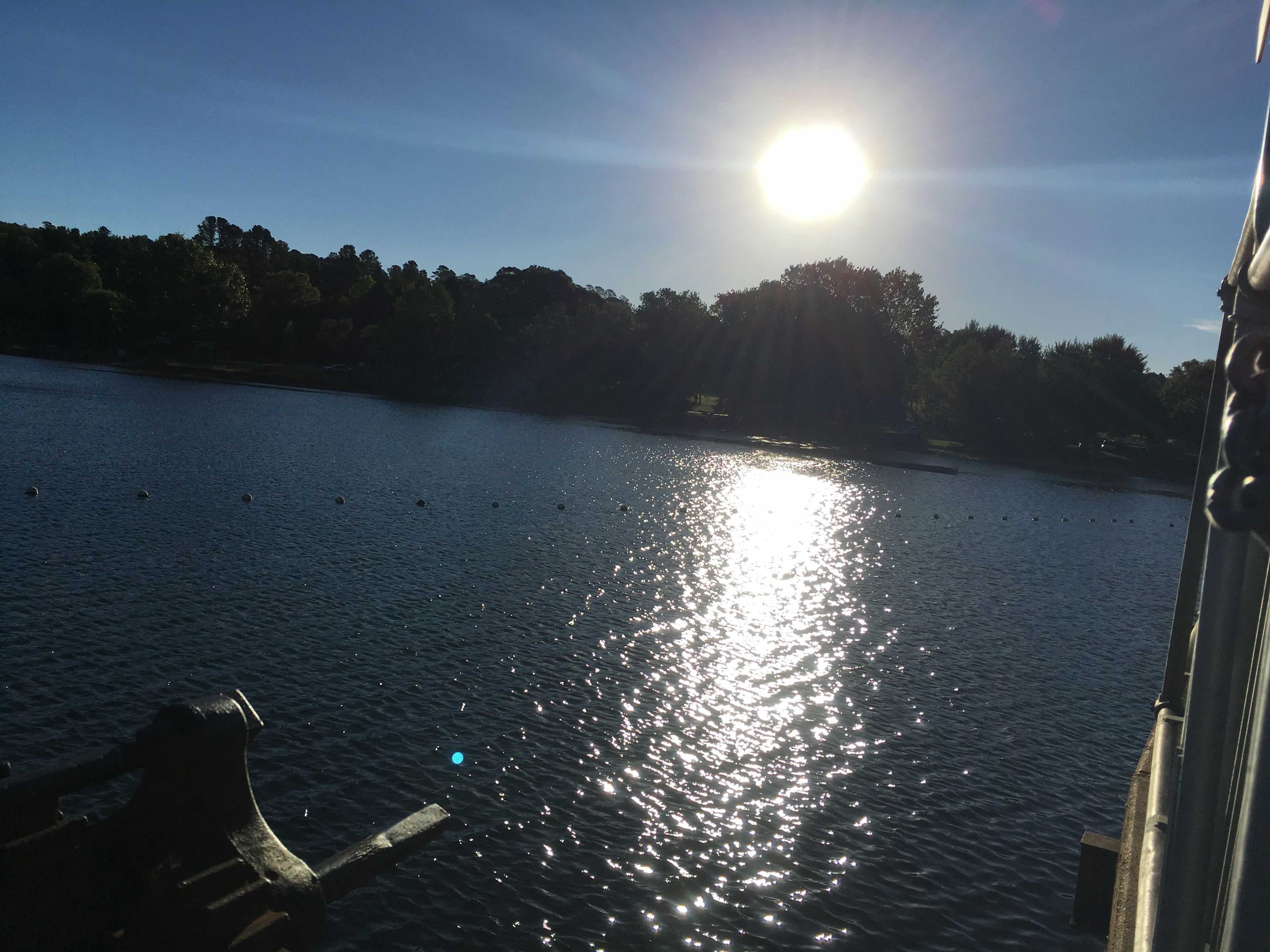 Sol brillando sobre un lago tranquilo que refleja árboles