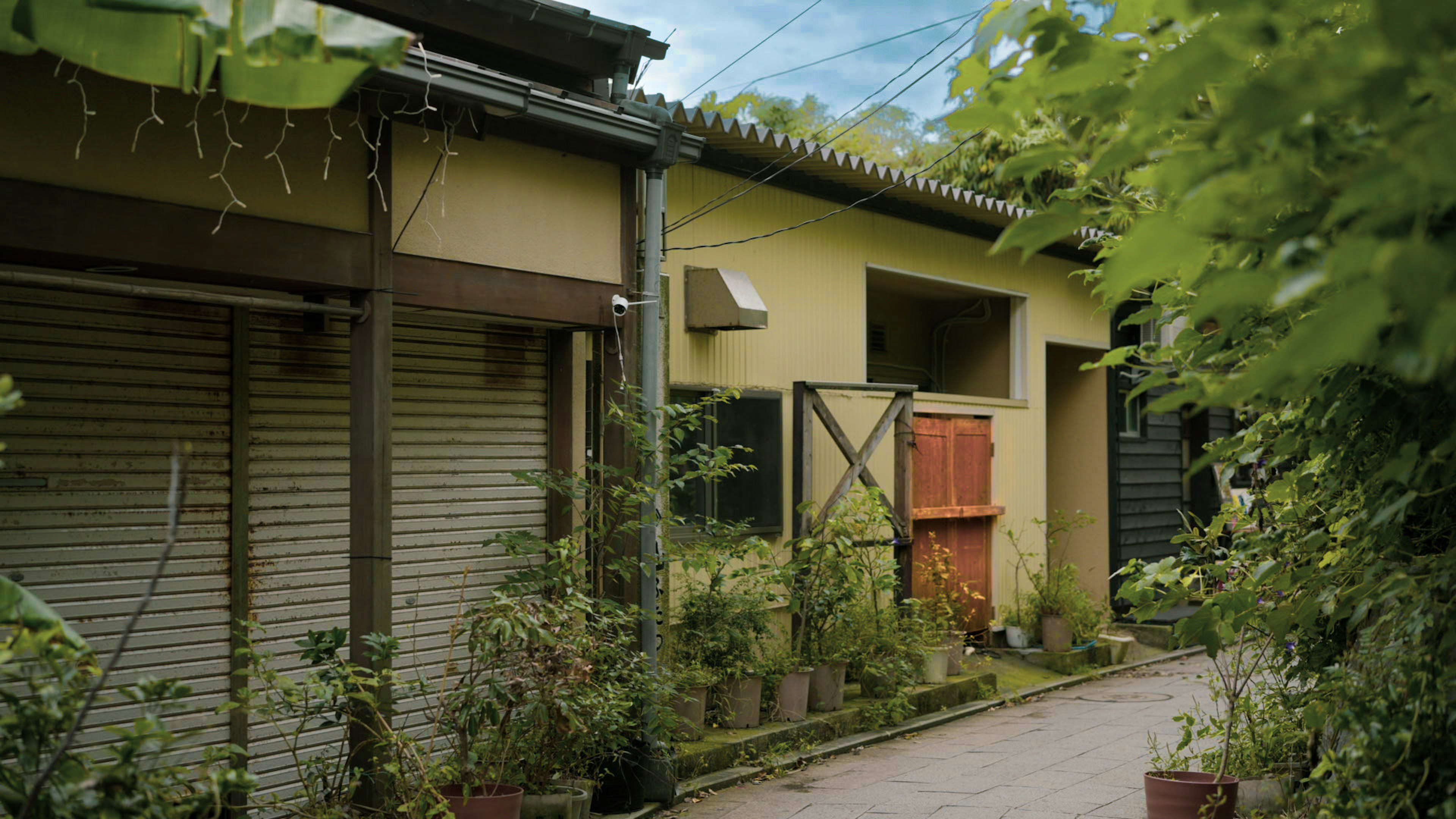 Exterior view of a building surrounded by greenery featuring a wooden door and shutters with a serene atmosphere