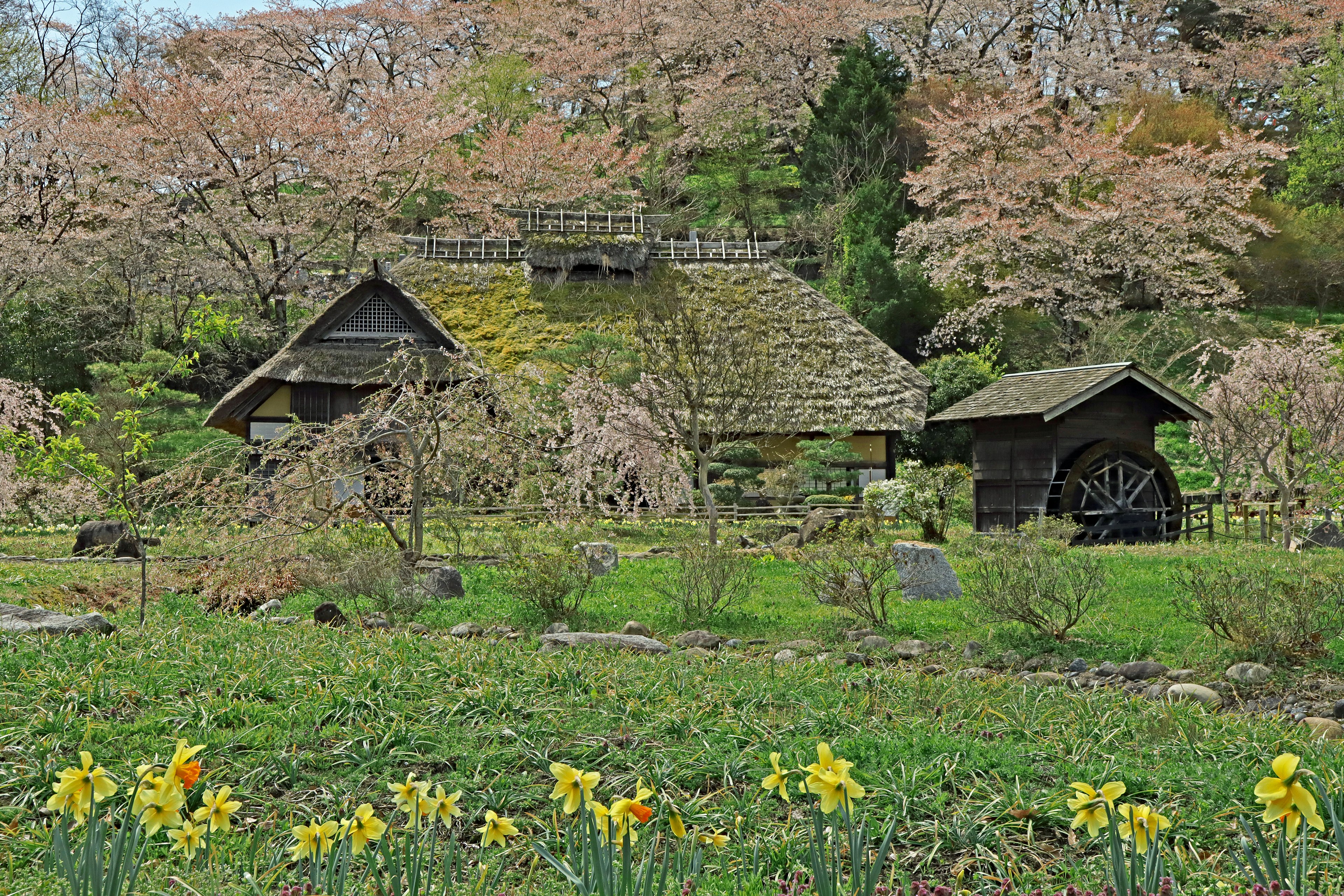 Una casa de madera antigua y un pequeño cobertizo rodeados de un hermoso jardín