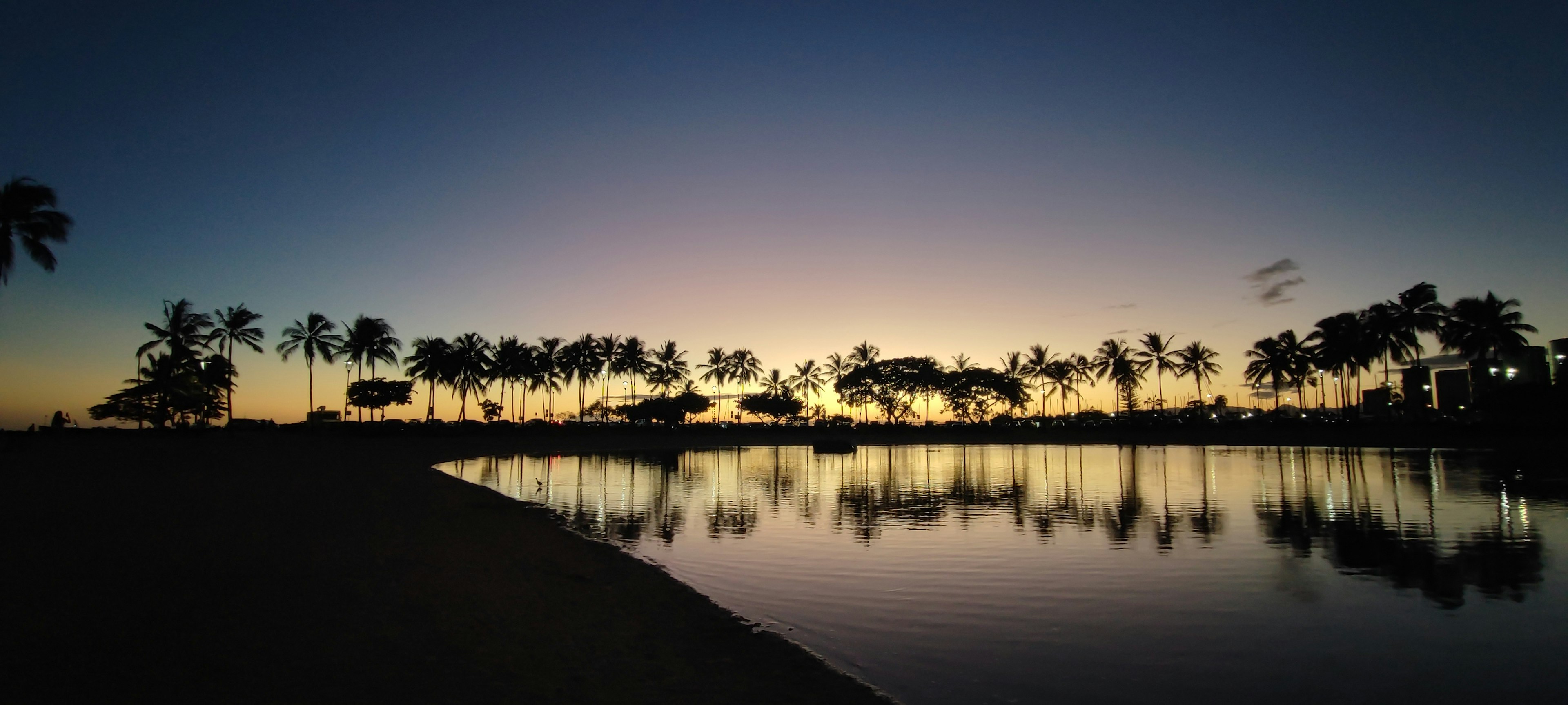 Silhouette of palm trees along the coastline reflecting on calm water at dusk