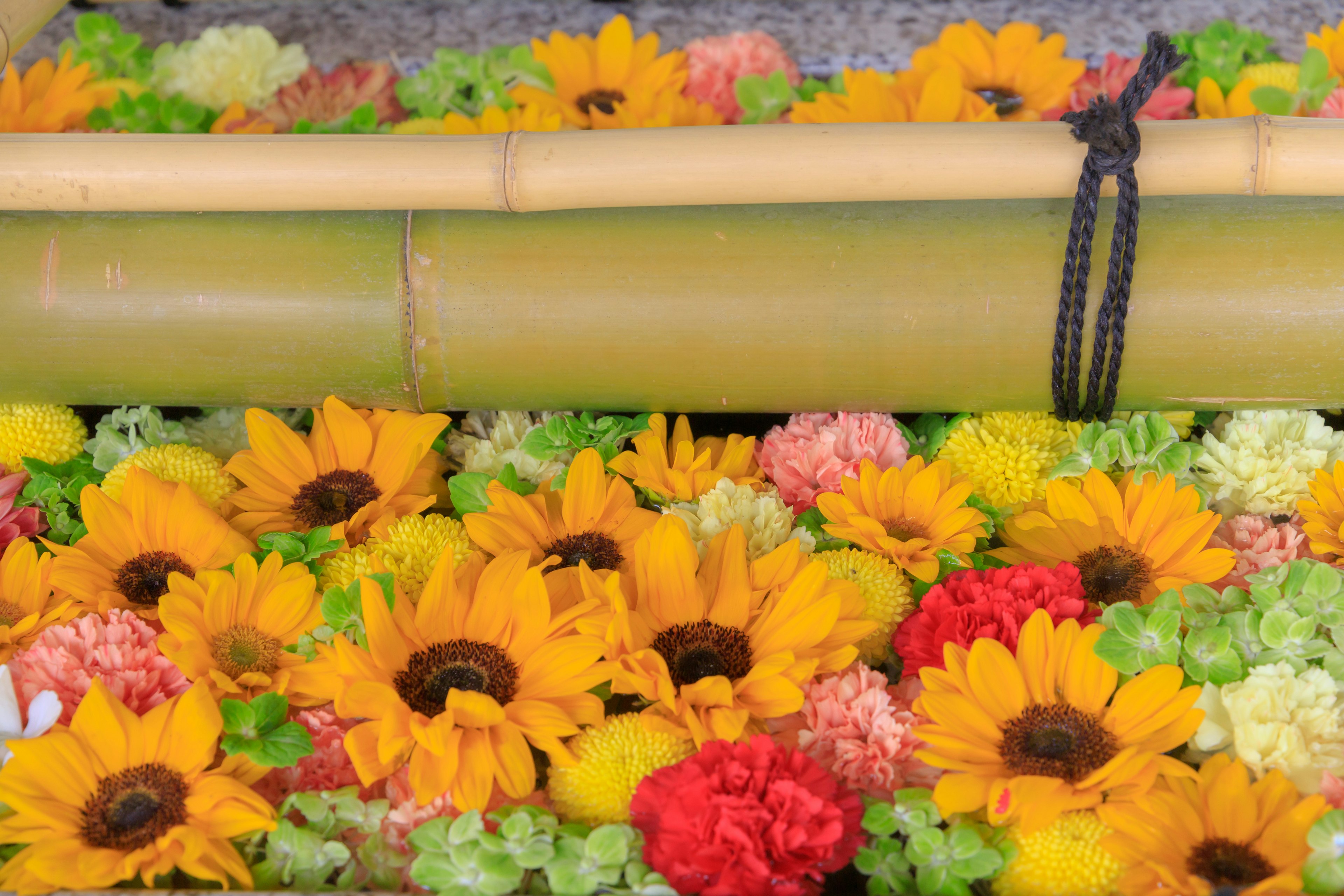 Decorative bamboo surrounded by colorful flowers