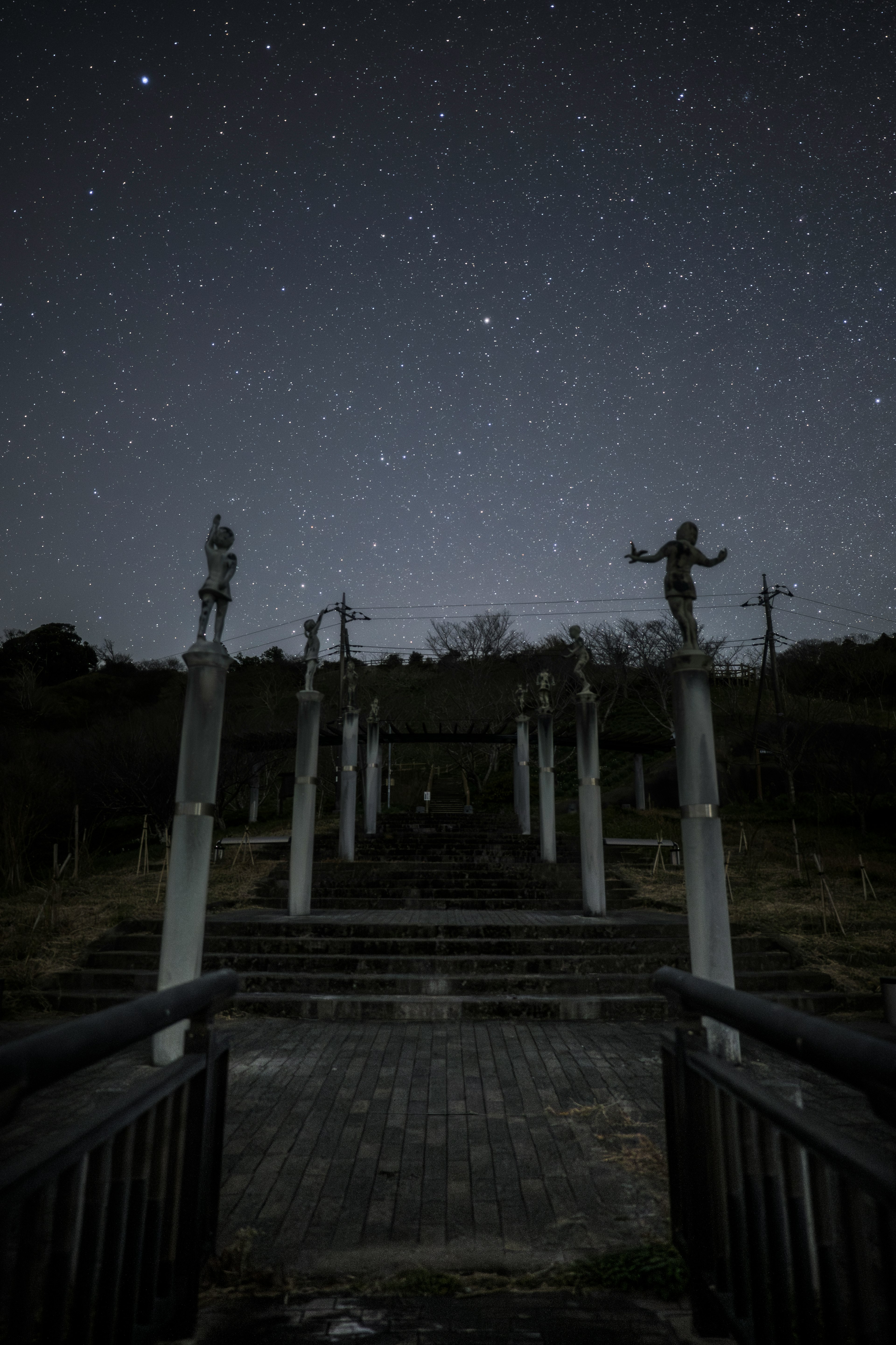 星空の下の神社の階段と彫像