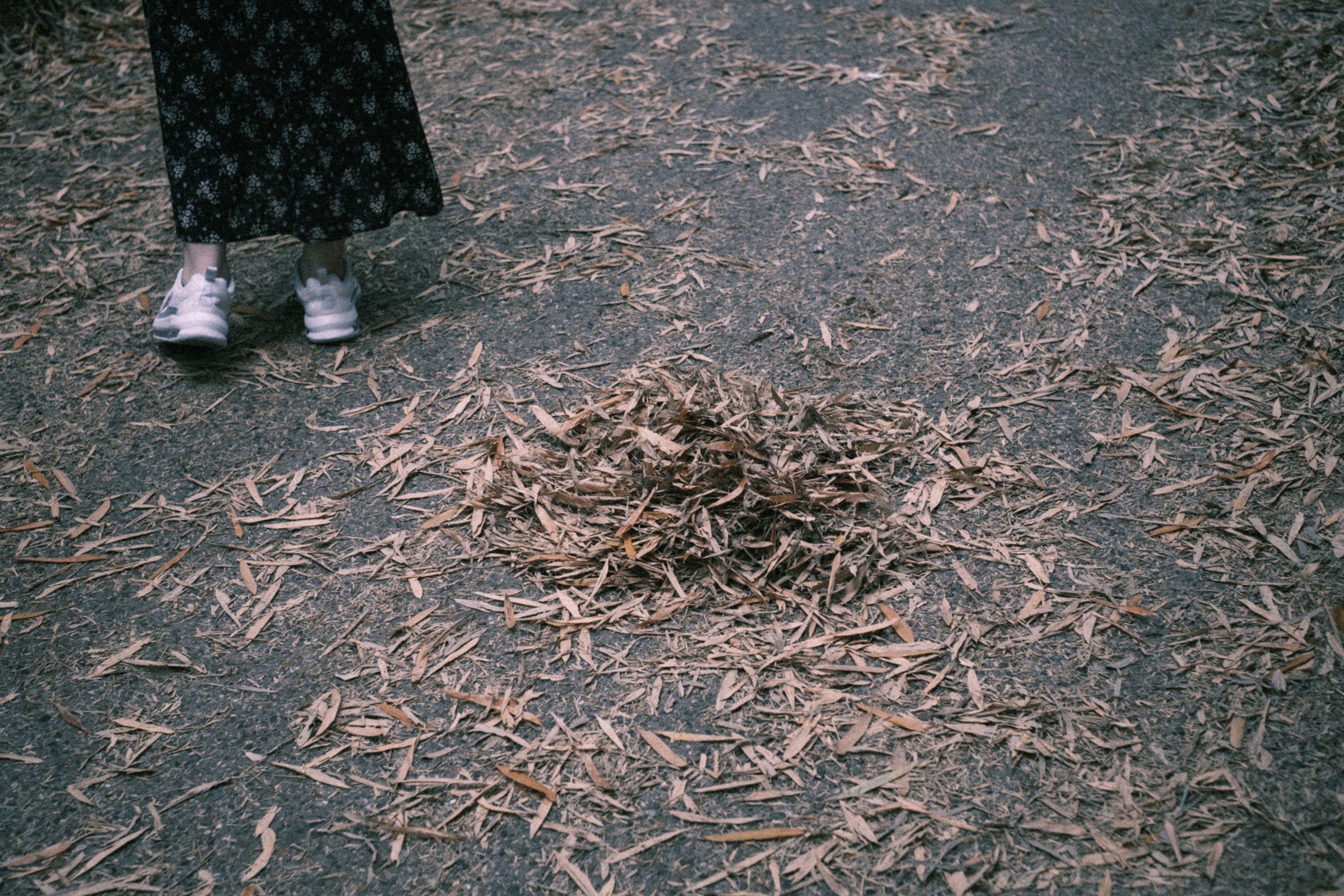 Des pieds d'une personne à côté d'un tas de feuilles tombées sur le sol