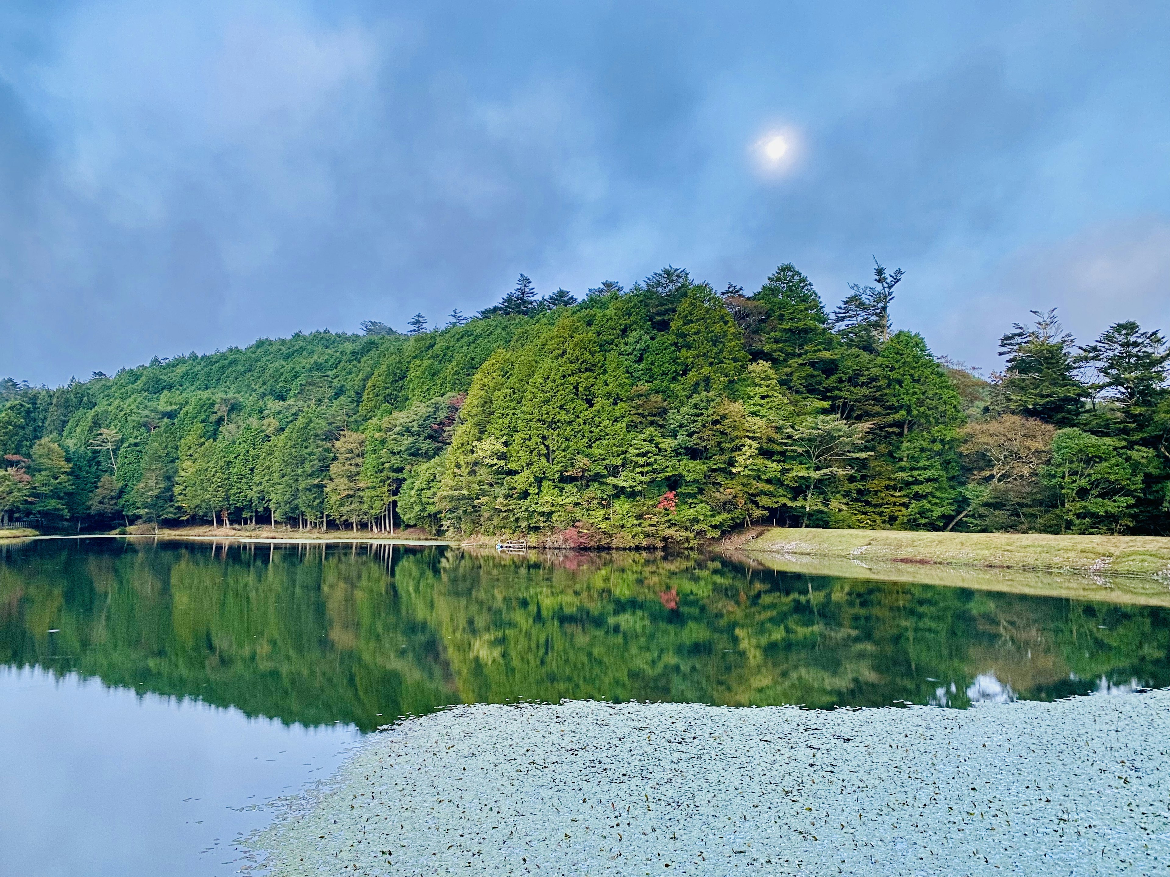 Ruhiger See, der einen üppigen Wald mit sichtbarem Mond spiegelt