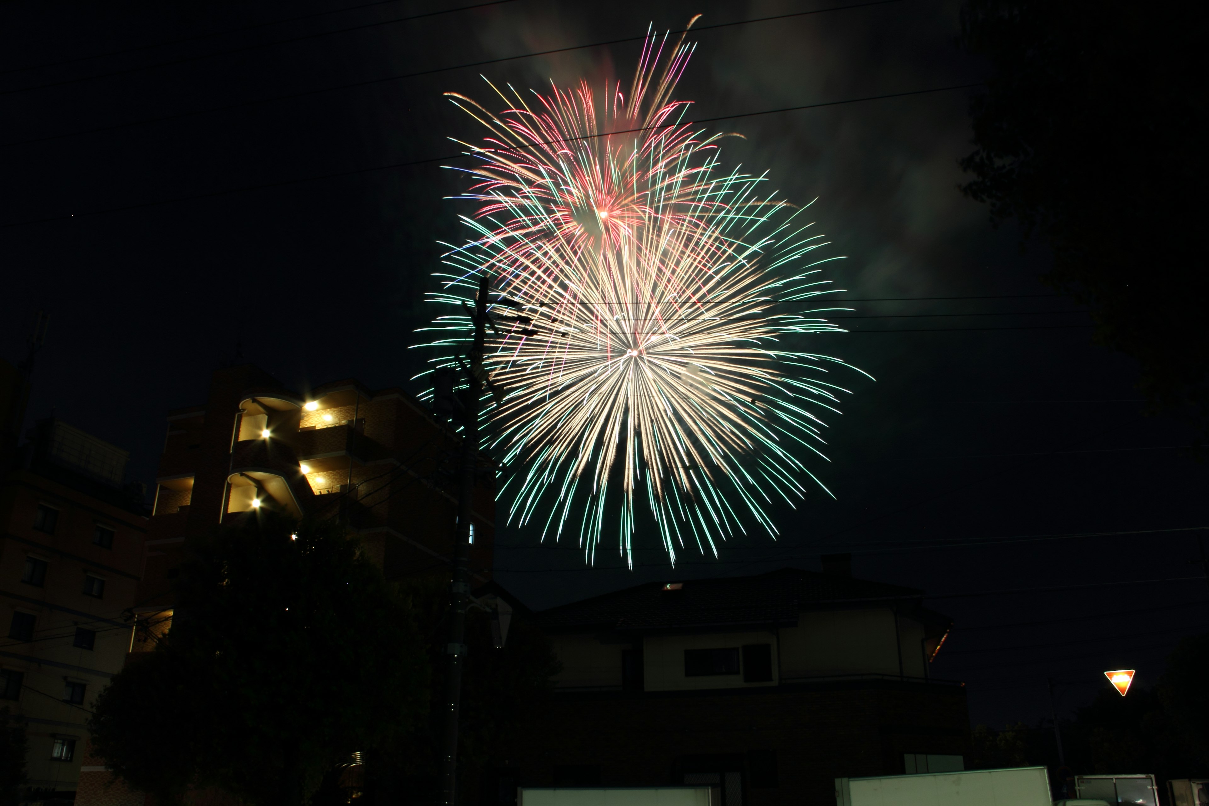 夜空中綻放的美麗煙花