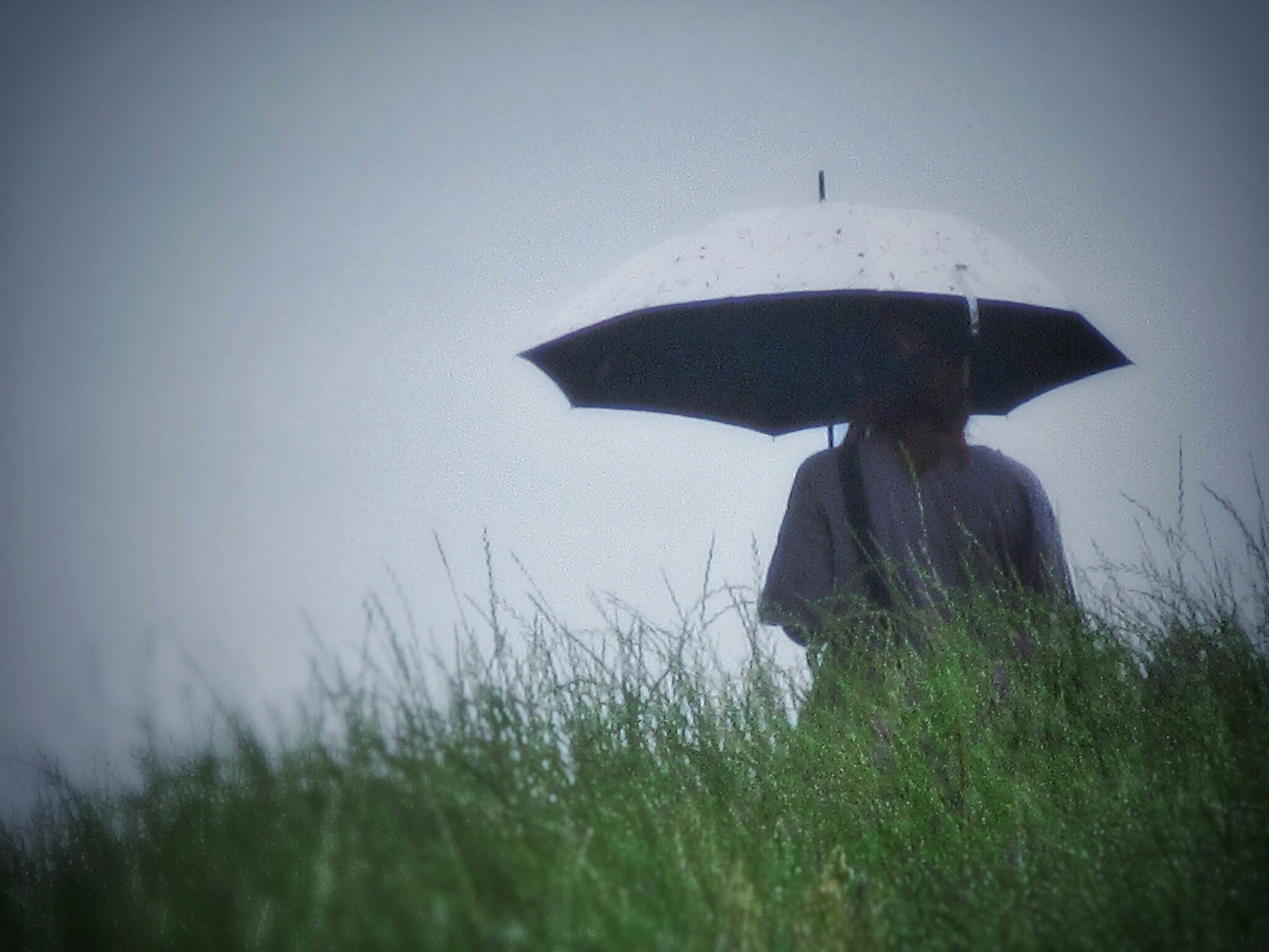 Une personne se tenant dans un champ avec un parapluie