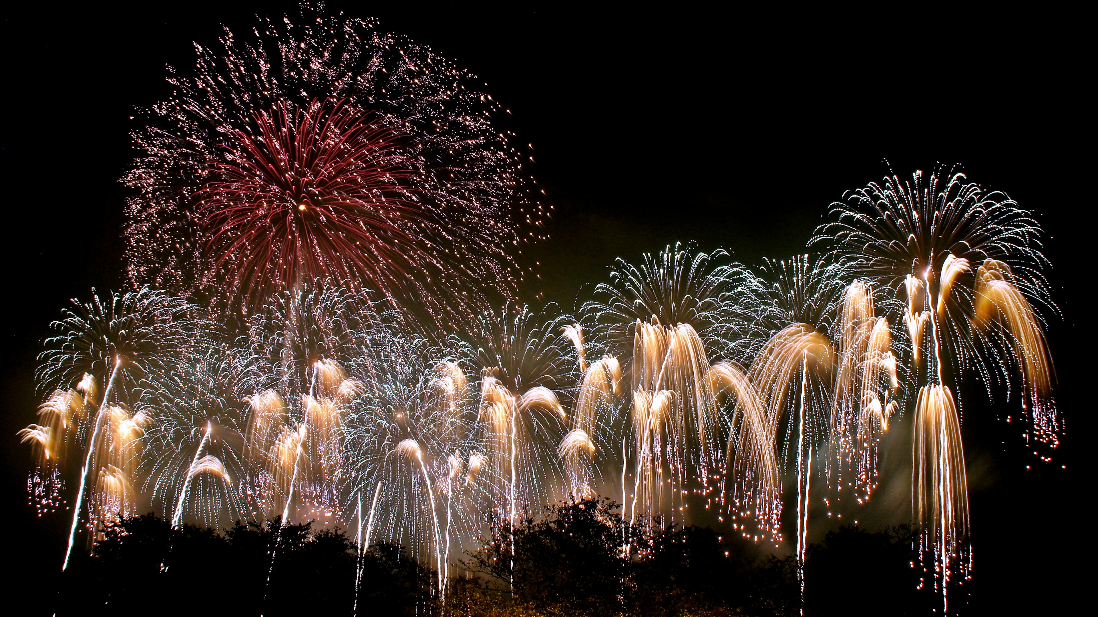 夜空に広がる色とりどりの花火の爆発