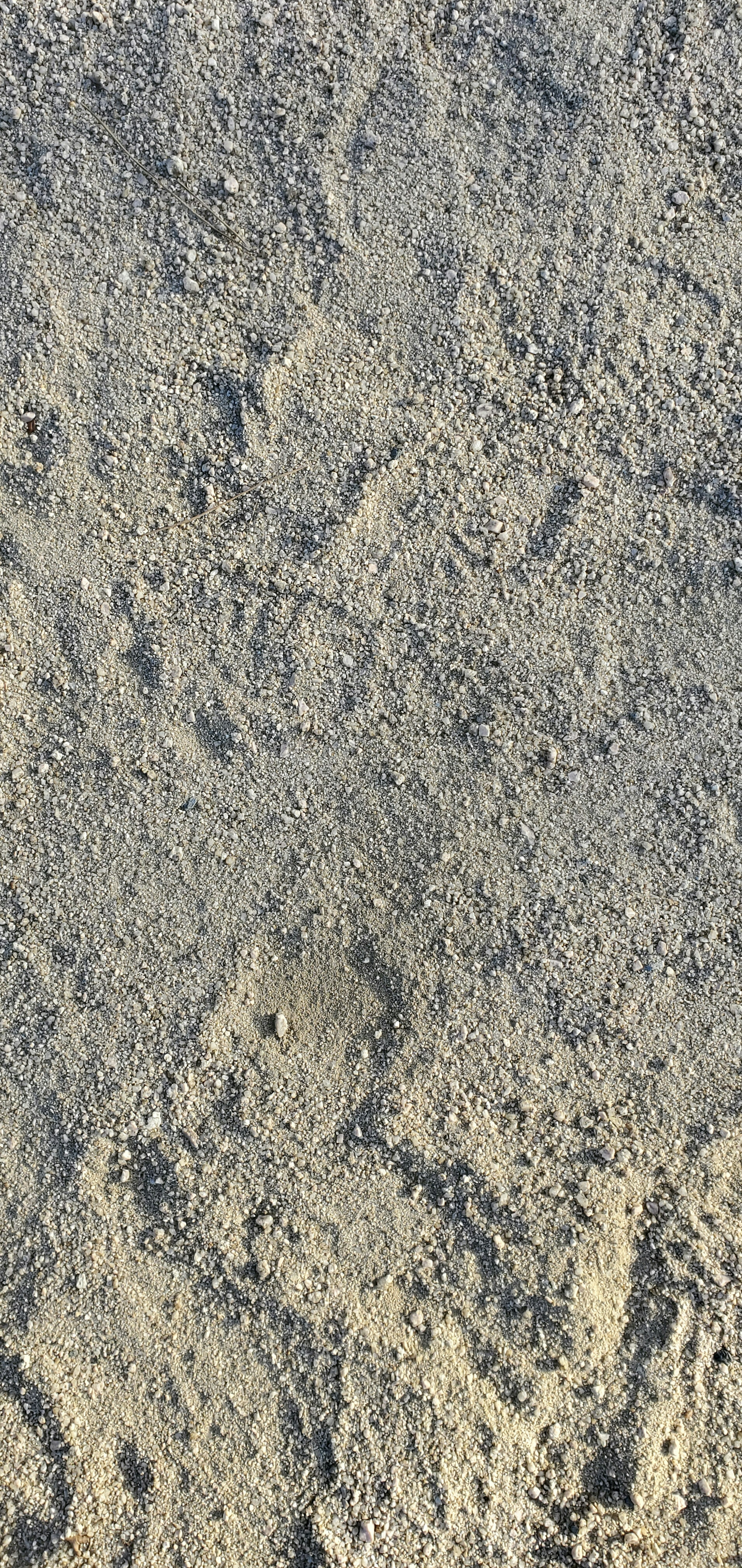 Texturierte Sandoberfläche mit sichtbaren Fußabdrücken