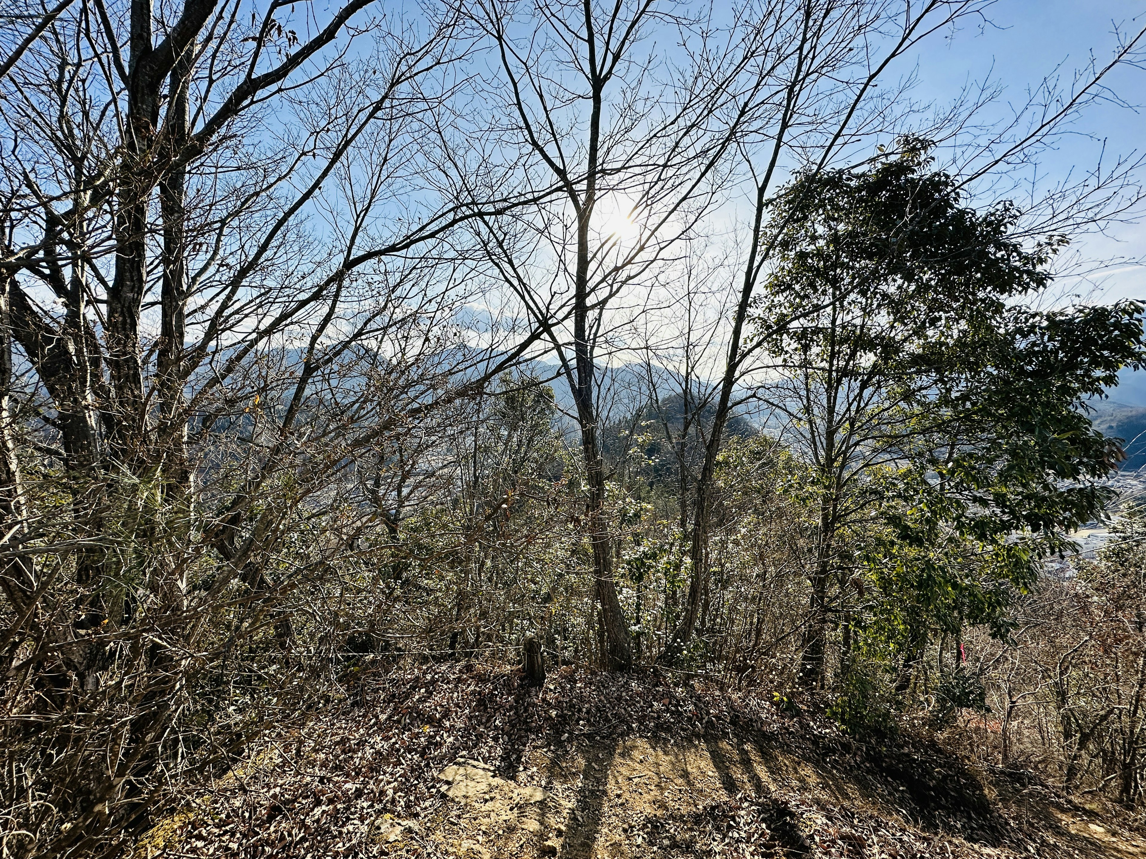 Vista escénica de montañas con árboles desnudos y cielo despejado