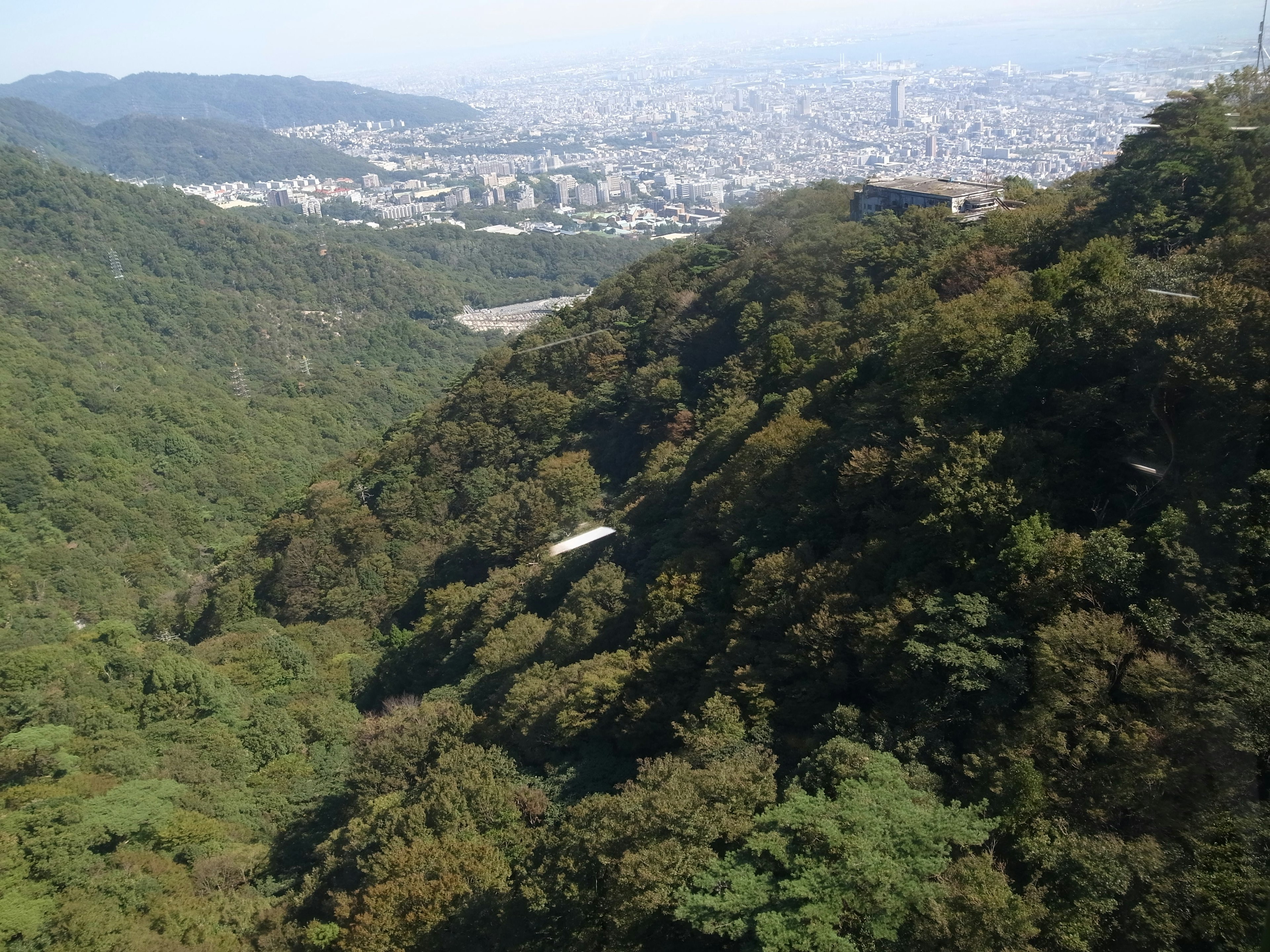 緑豊かな山々と都市の景色が広がる風景