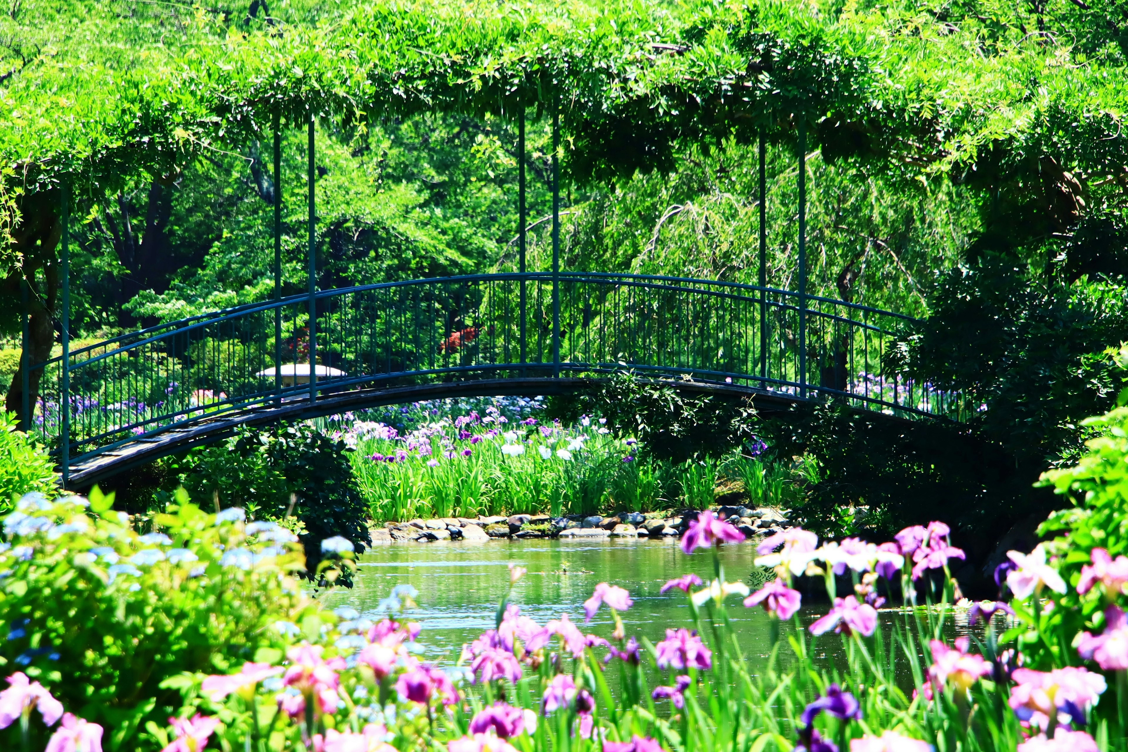 A picturesque garden scene featuring a small bridge surrounded by lush greenery and vibrant flowers