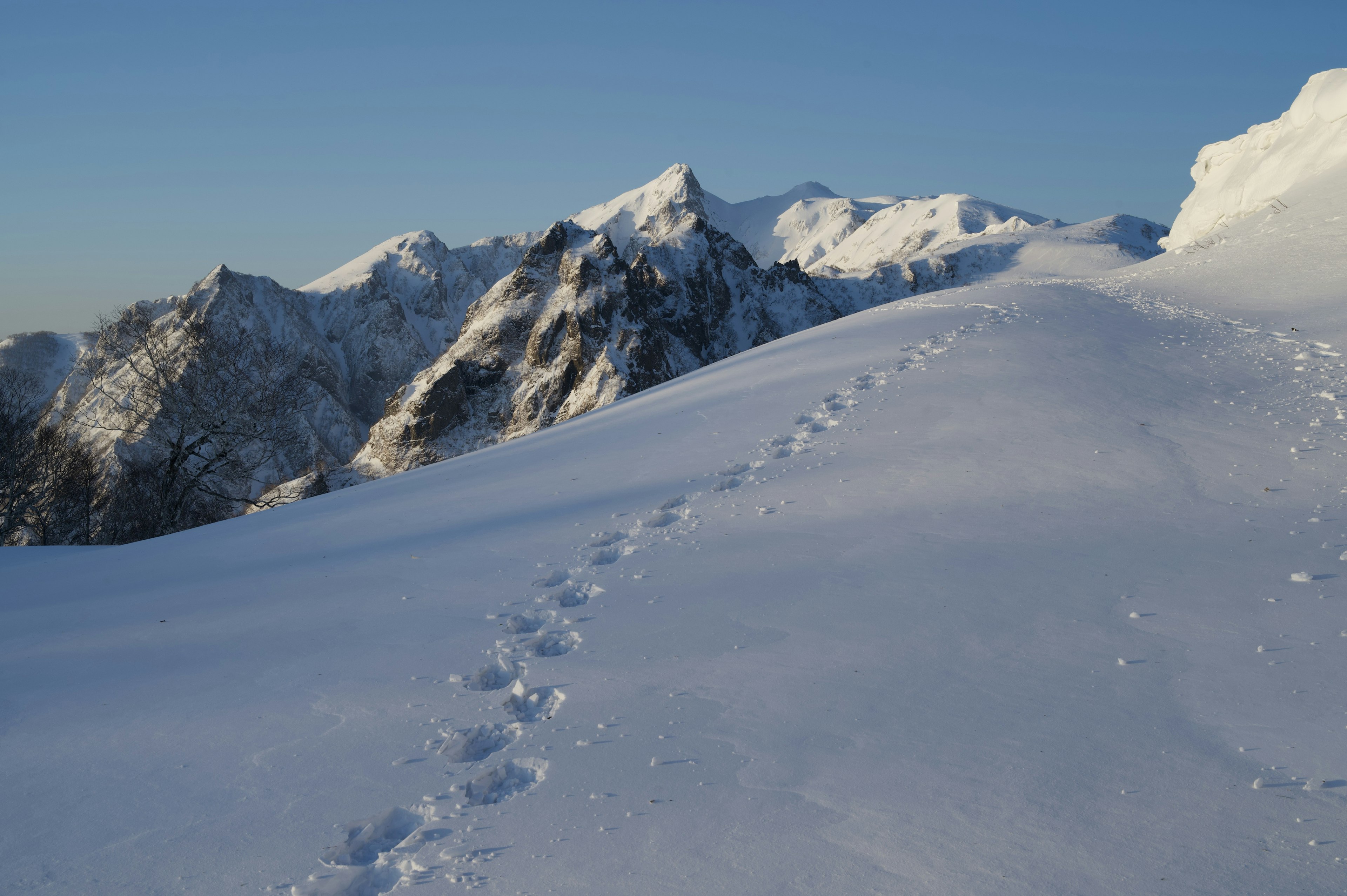 Paesaggio montano coperto di neve con impronte