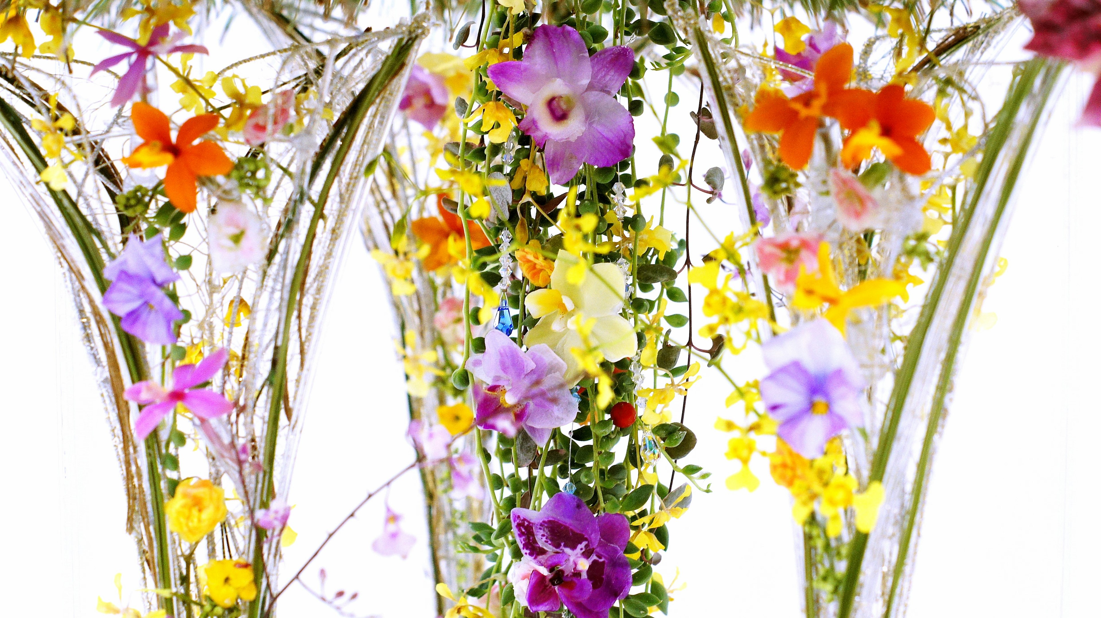 Lebendige Blumenarrangements mit einer Vielzahl bunter Blumen