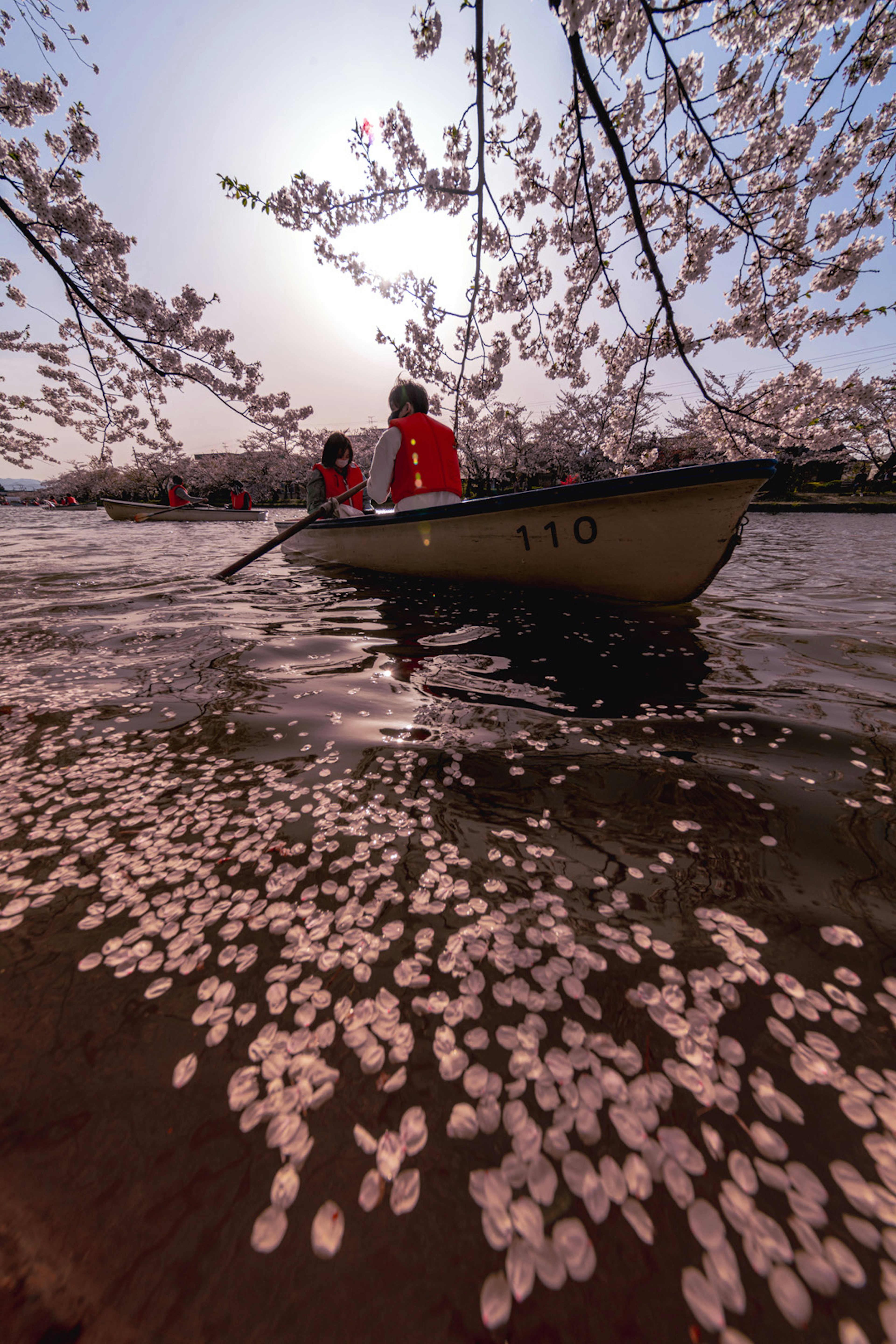 桜の花びらが浮かぶ川でボートに乗る二人の人