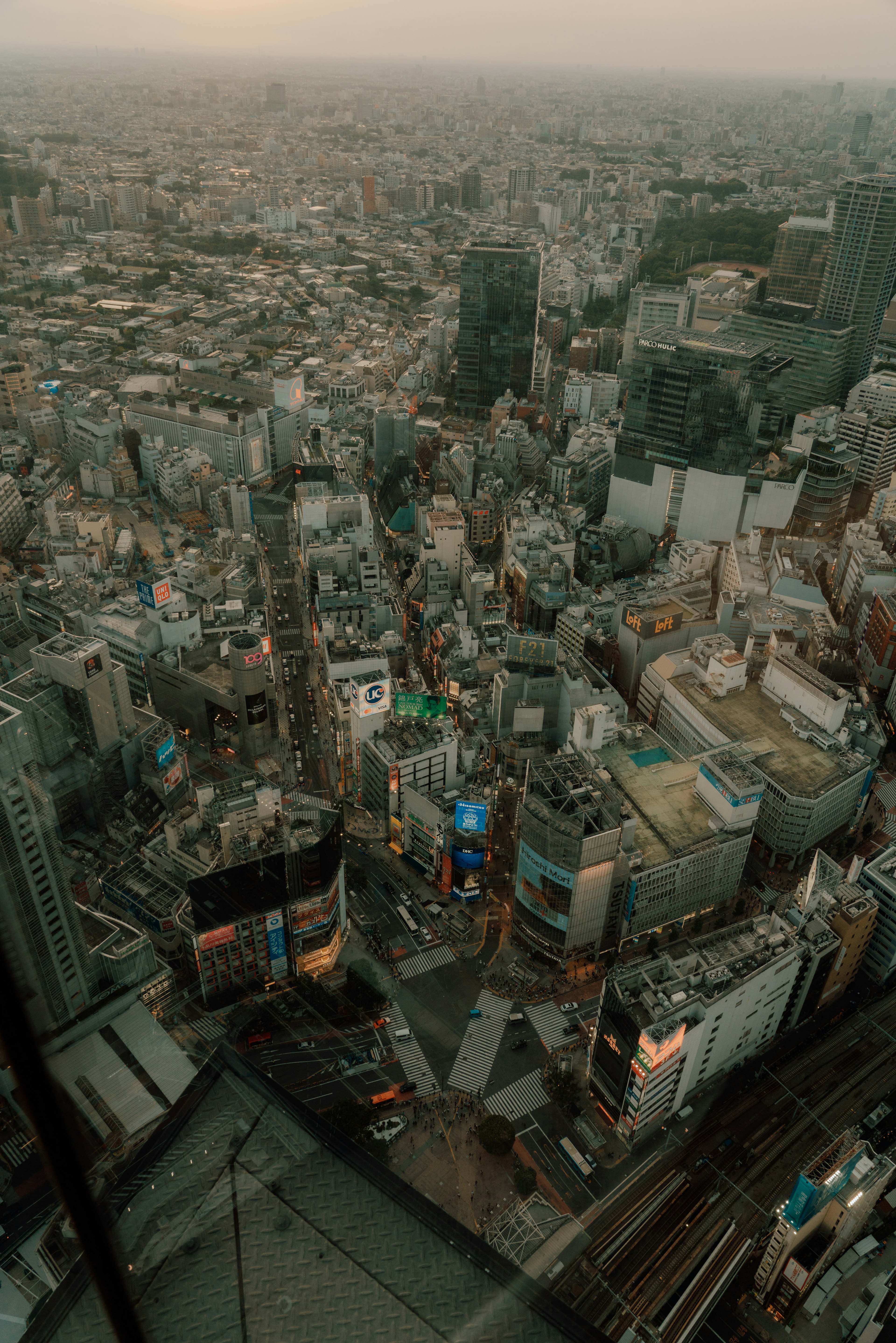 東京の高層ビル群と街並みを俯瞰した景色