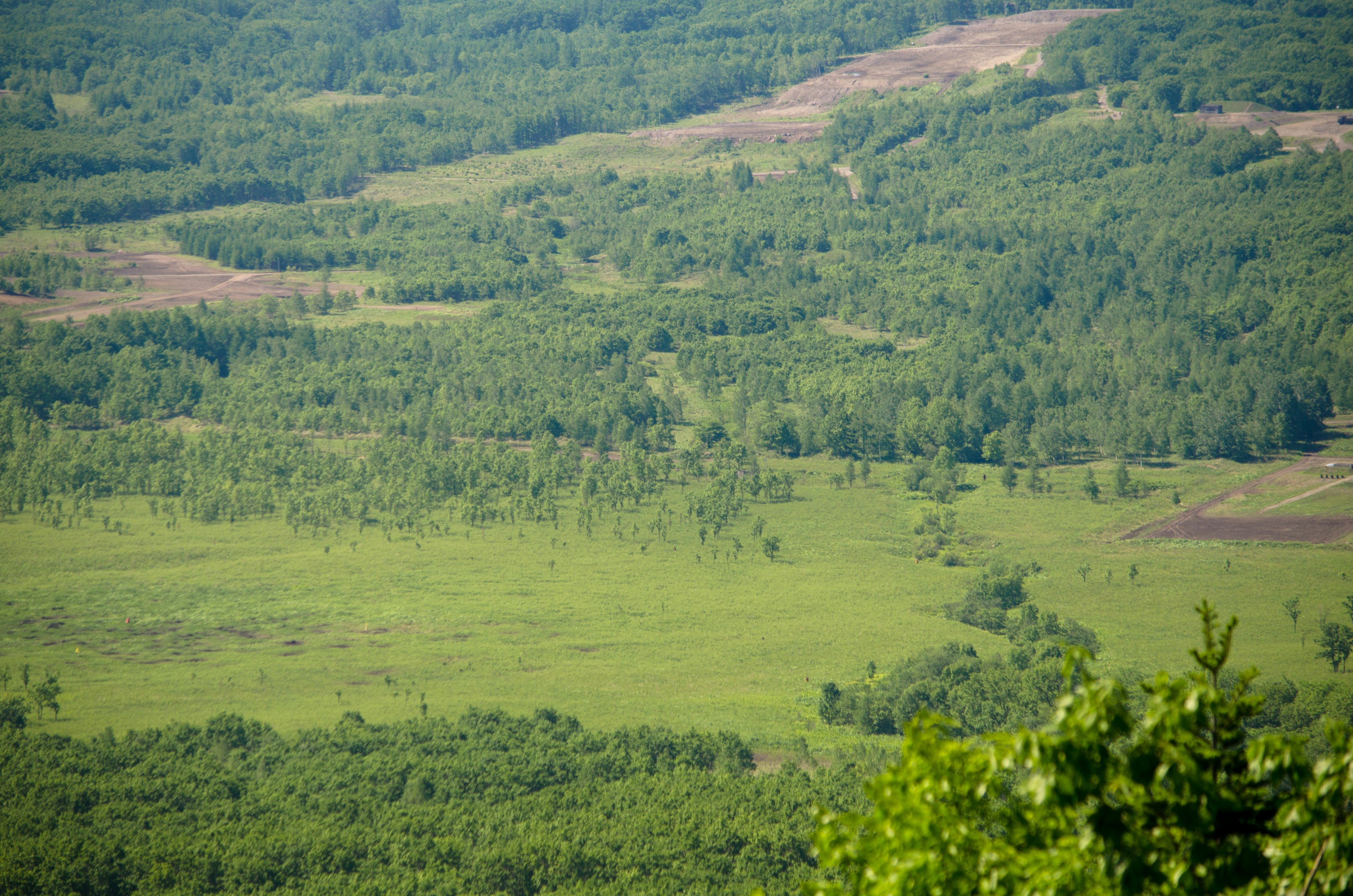 Paysage verdoyant avec des forêts et des champs ouverts