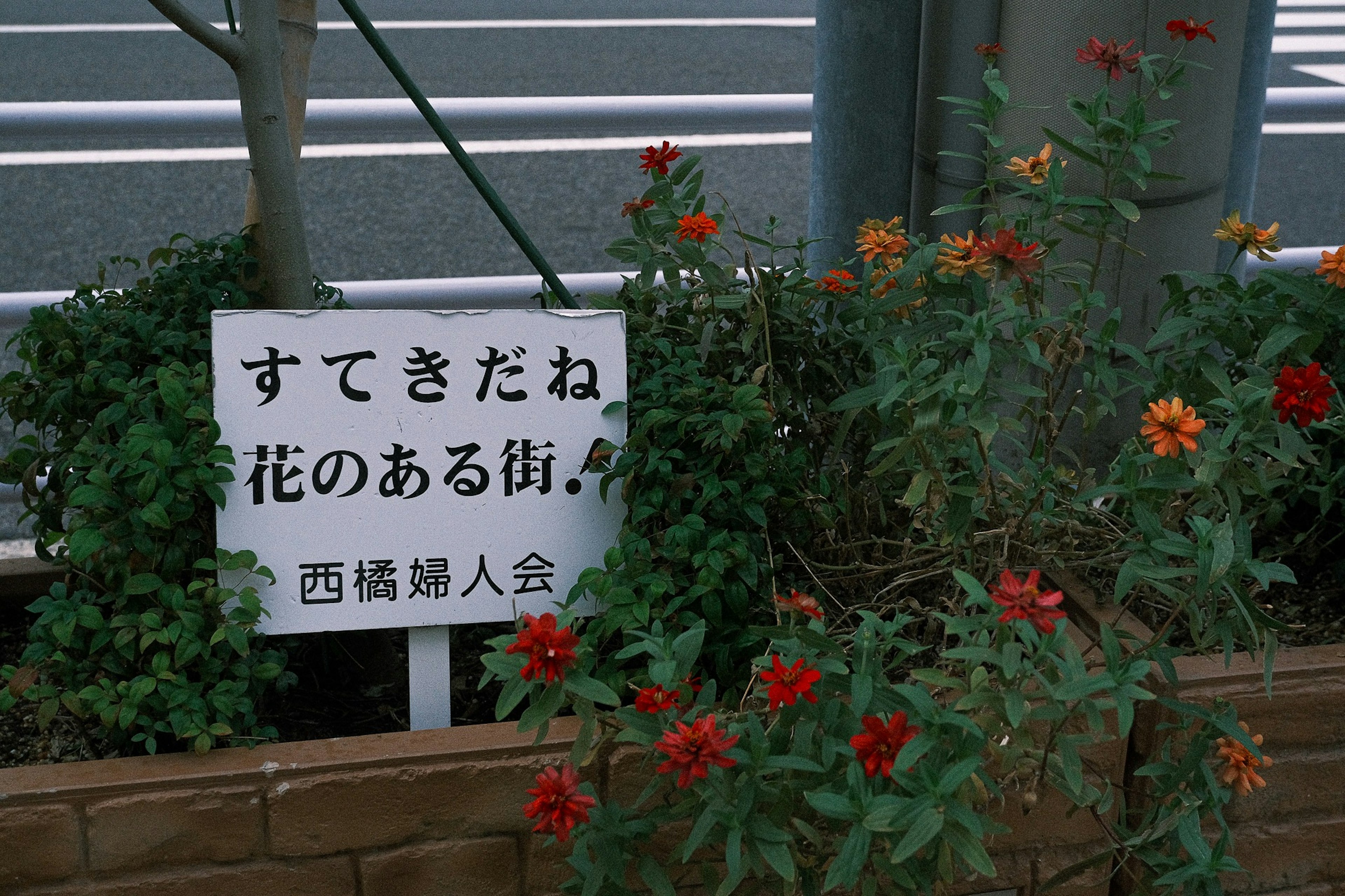 花のある街の看板と赤い花が咲いている風景