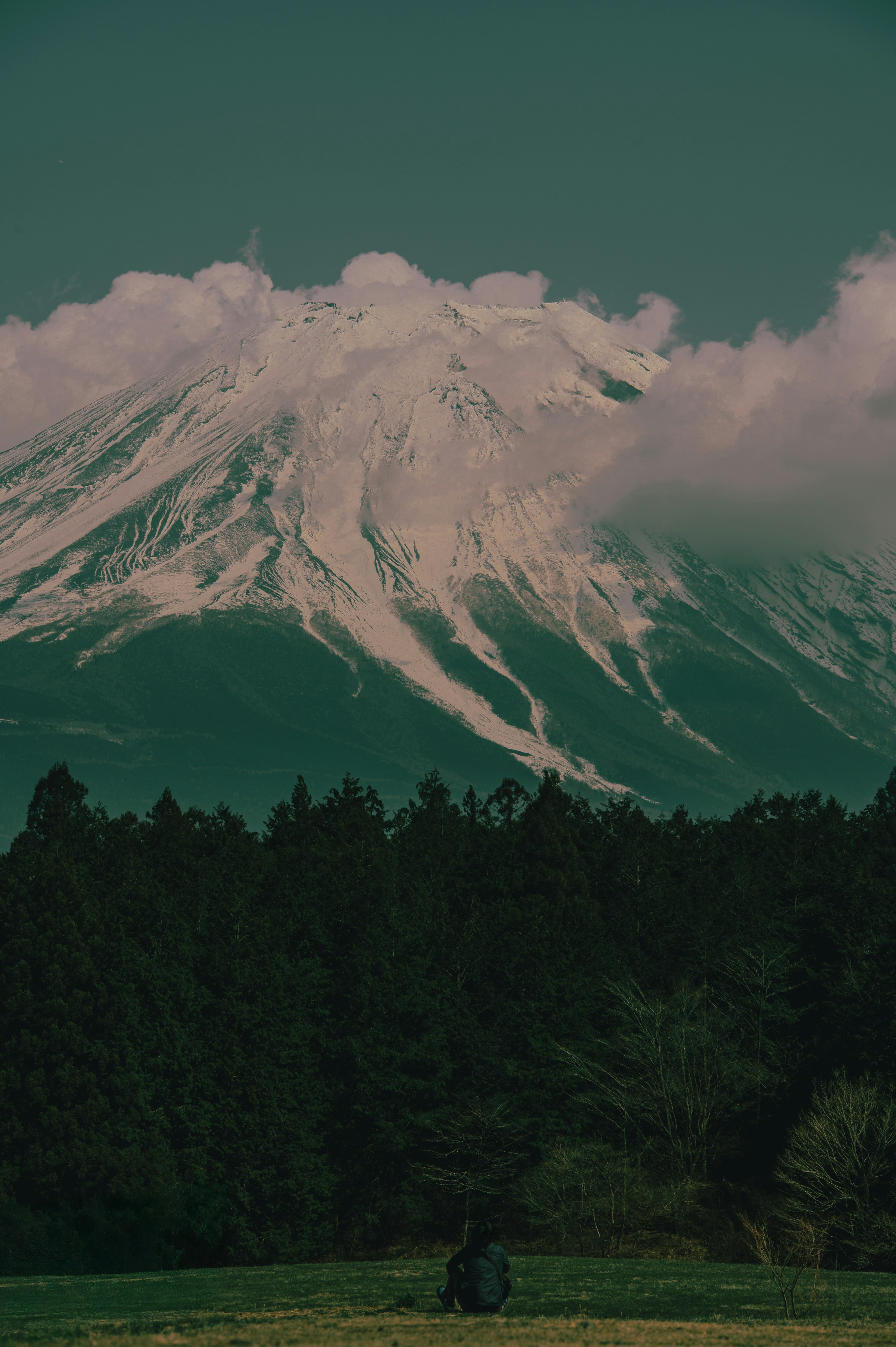 Mont enneigé avec des nuages et une forêt au premier plan