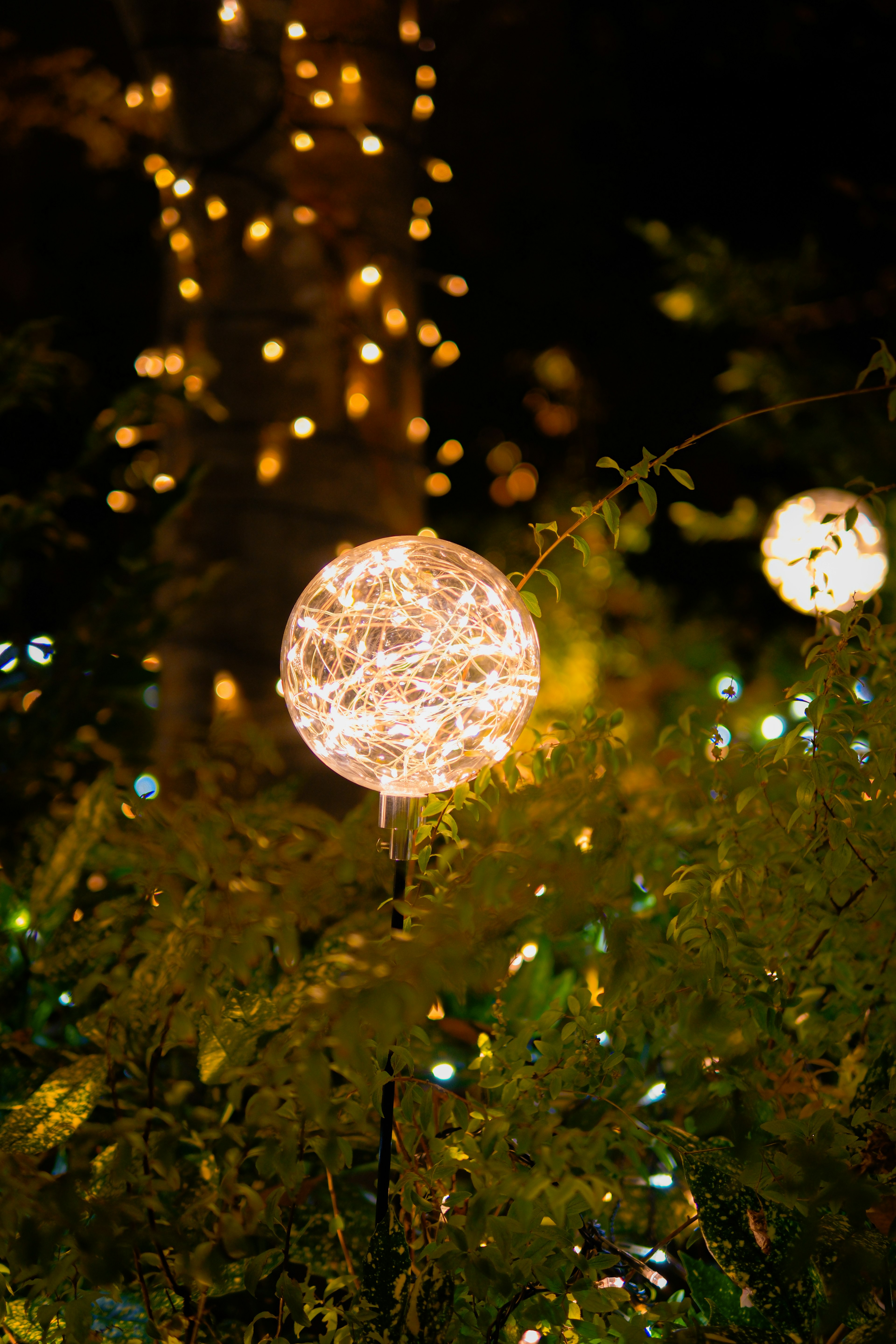 Dekorative Lichtkugeln leuchten in einem Nachgarten mit grünen Blättern