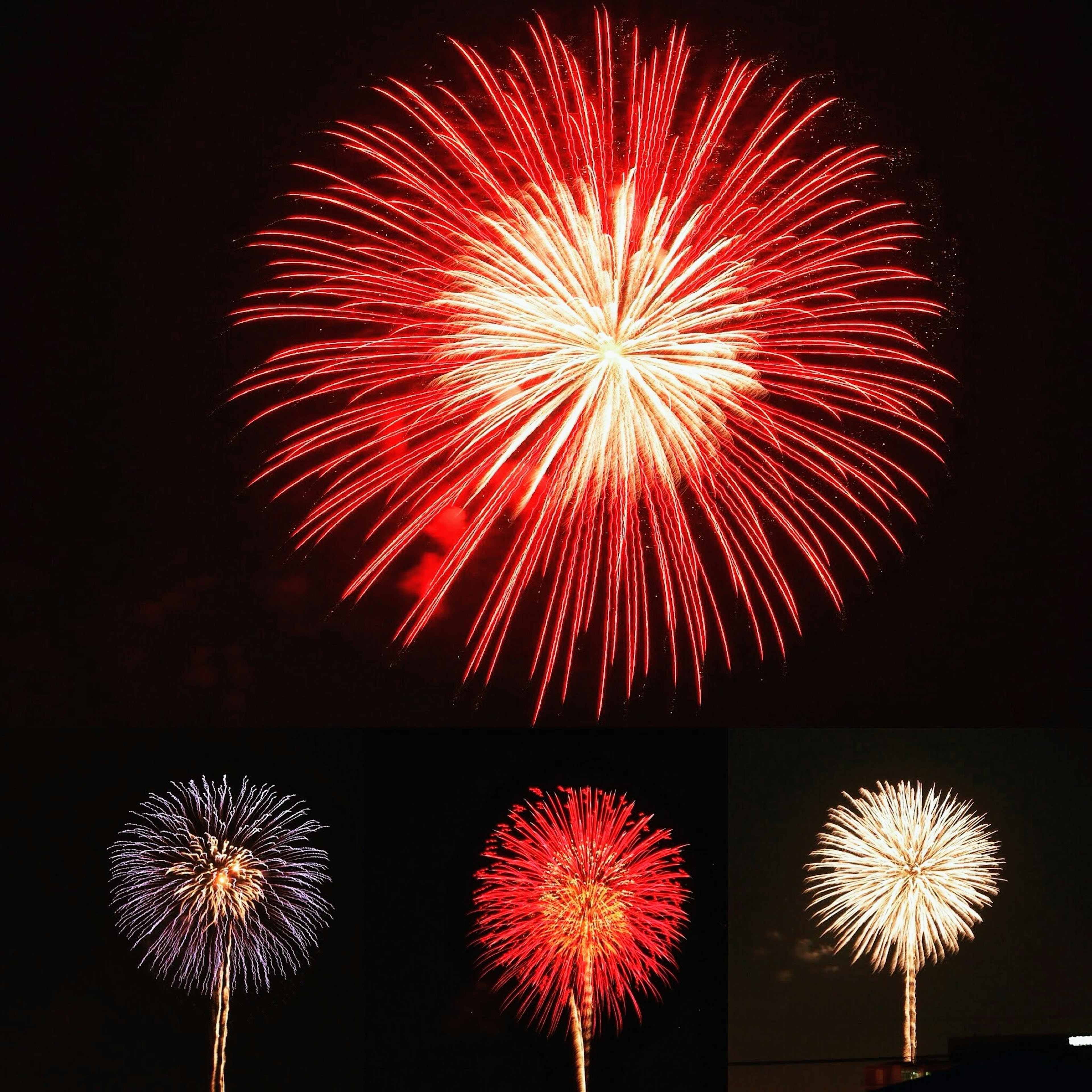 Hermoso espectáculo de fuegos artificiales rojos y blancos estallando en el cielo nocturno