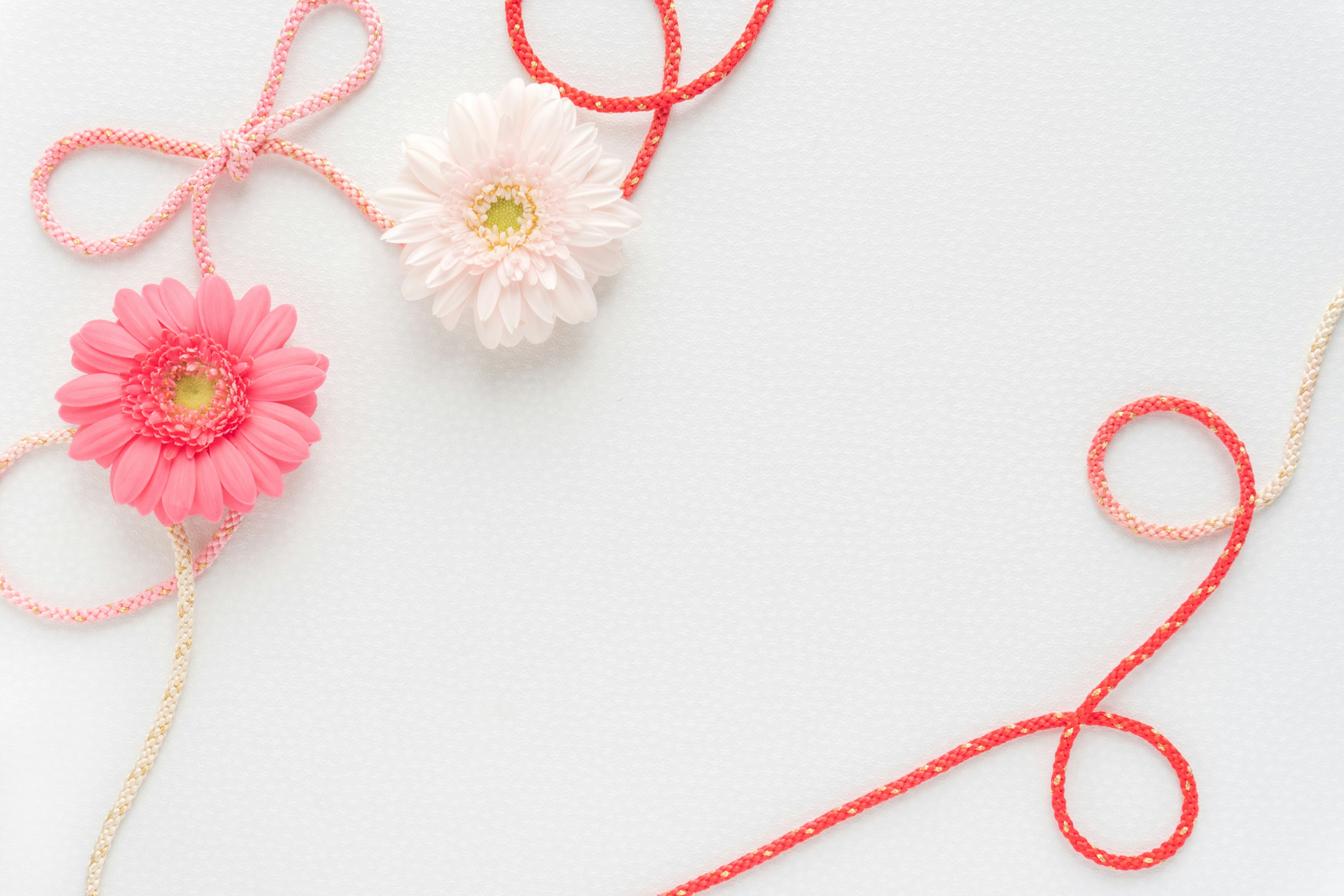 Flores rosas y blancas entrelazadas con hilos coloridos sobre un fondo blanco