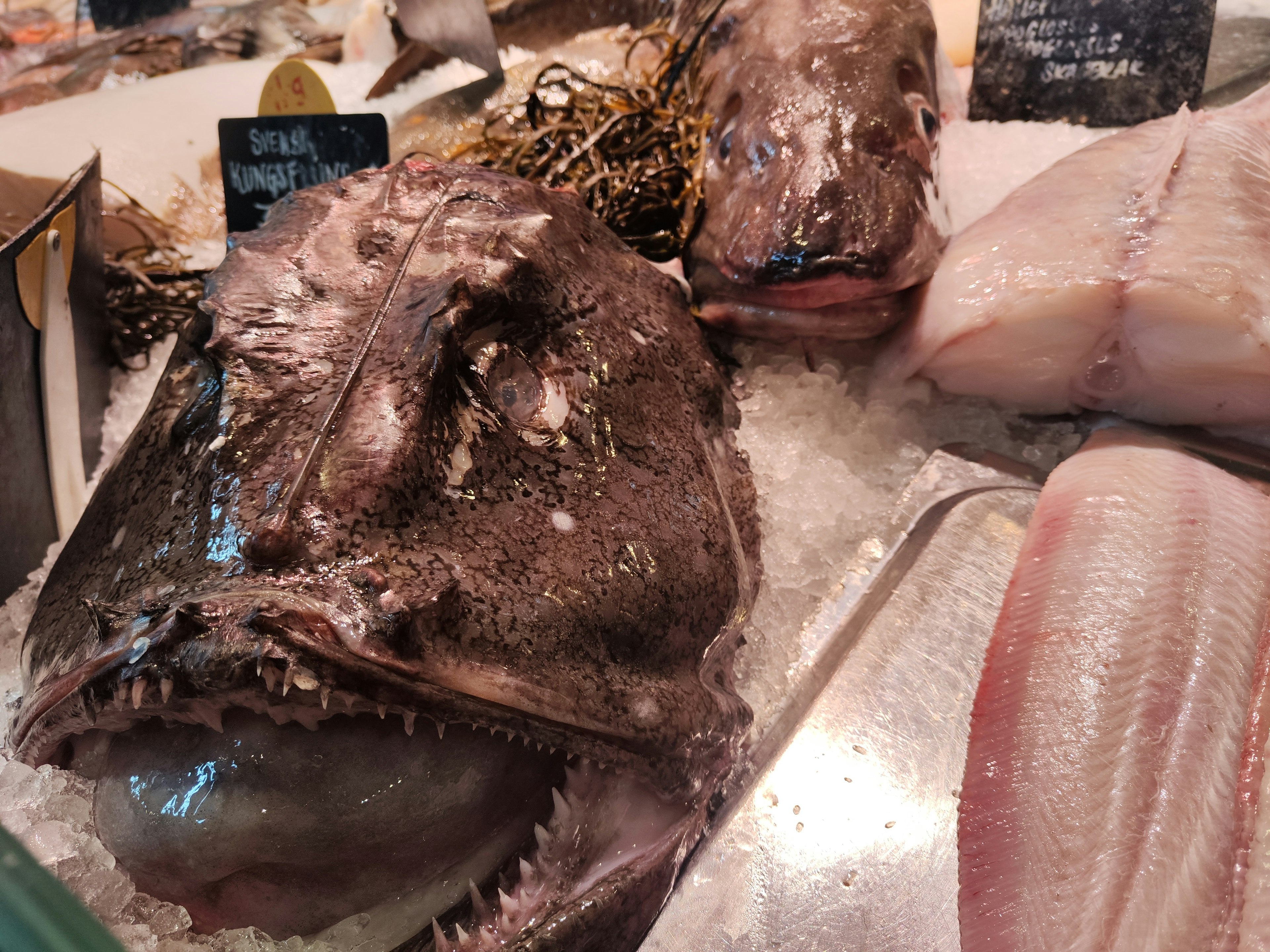 Large fish head and fillets displayed on ice at a market