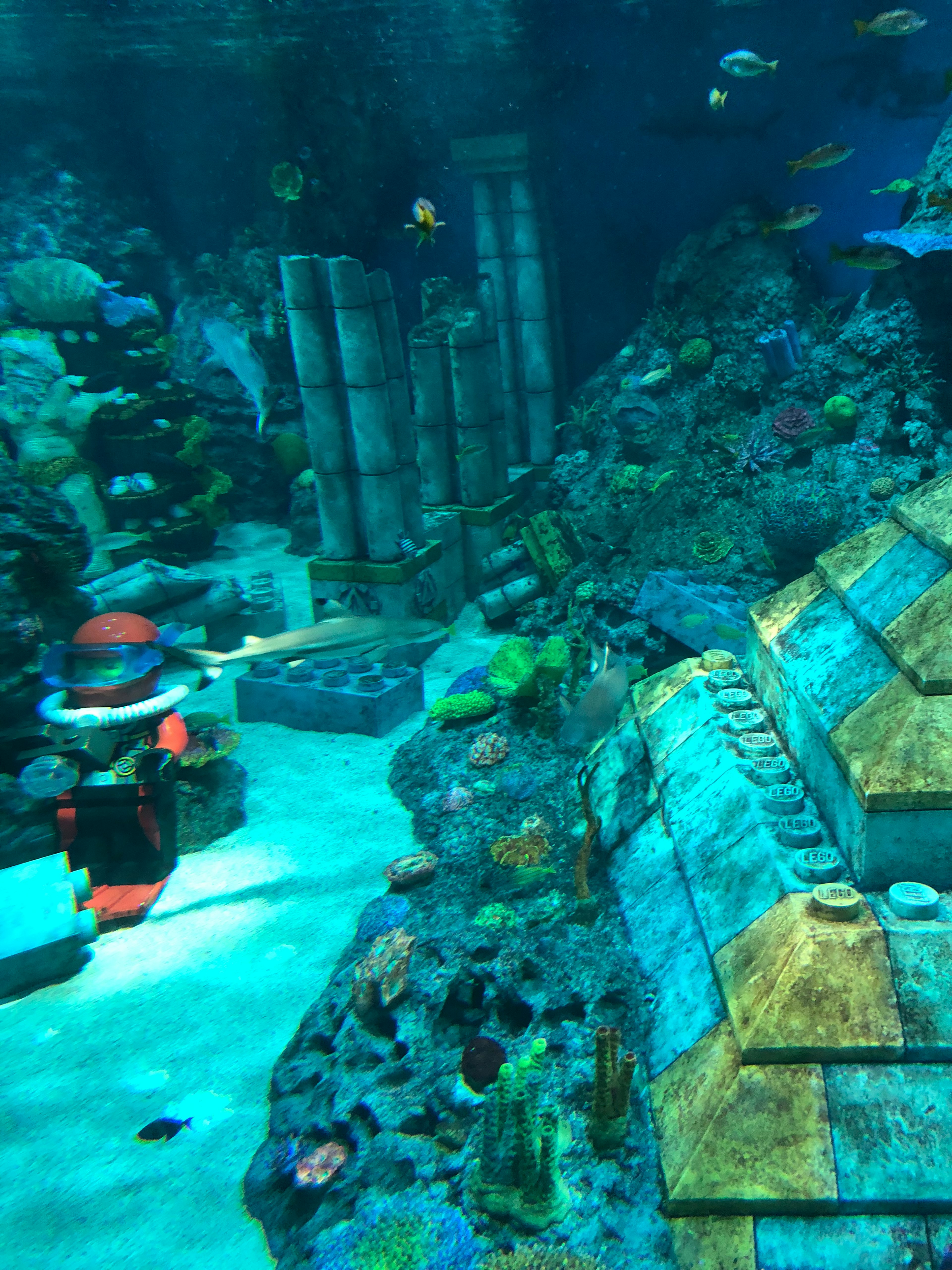 Underwater scene featuring colorful fish and ancient ruins