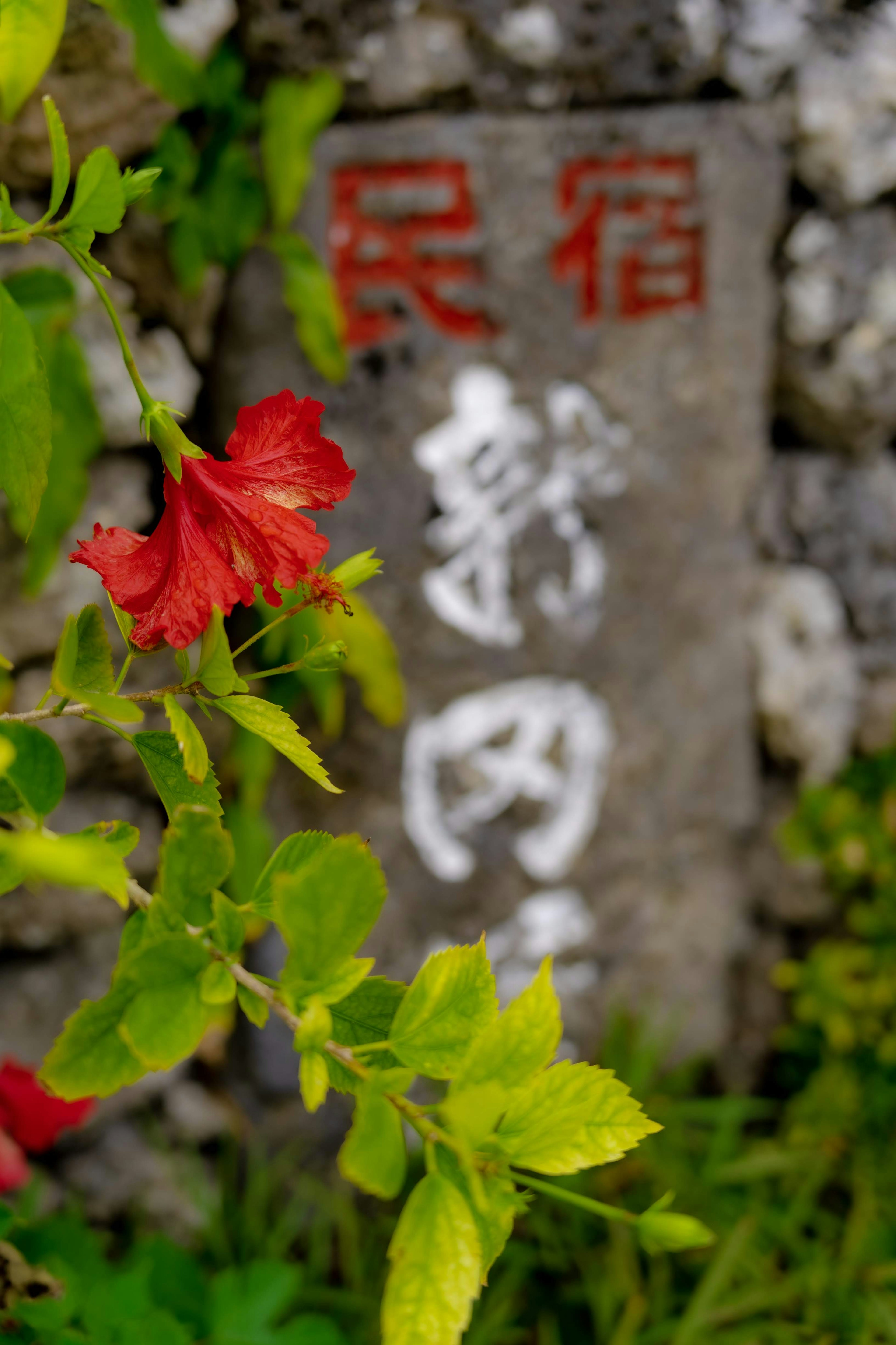 赤い花と古い石の看板が描かれた風景