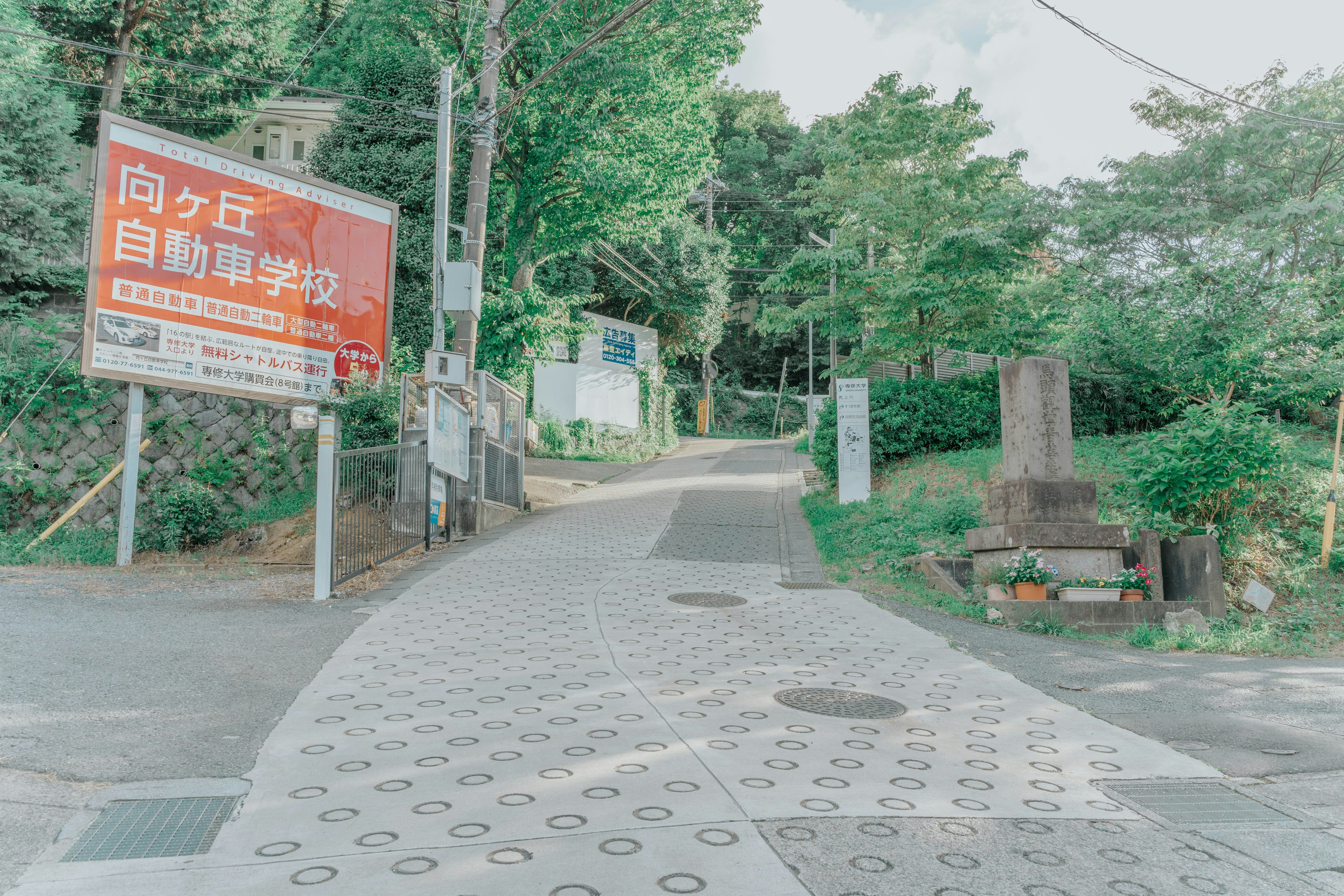 A scenic pathway with lush greenery and a large sign