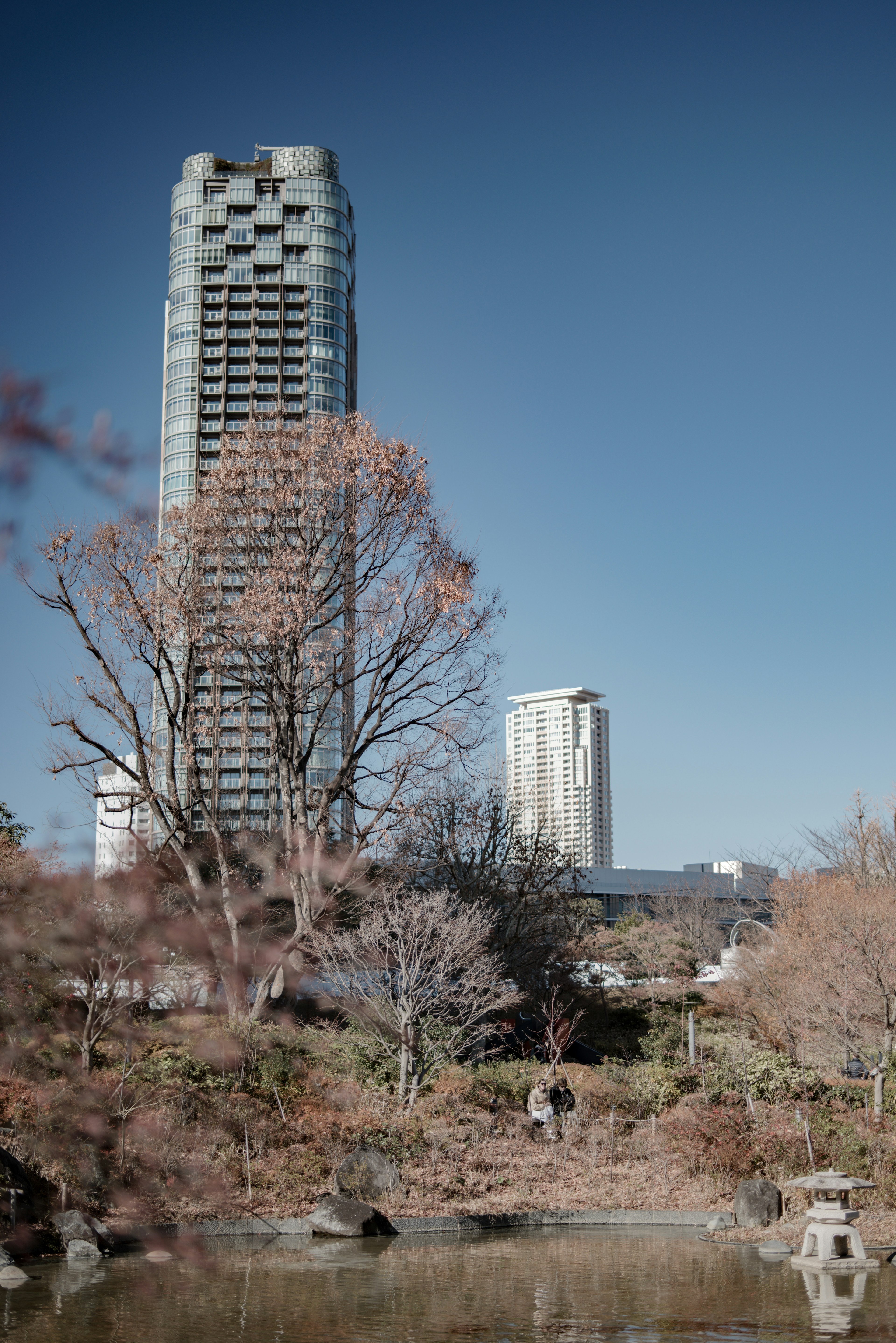 城市天际线与现代摩天大楼和秋季树叶