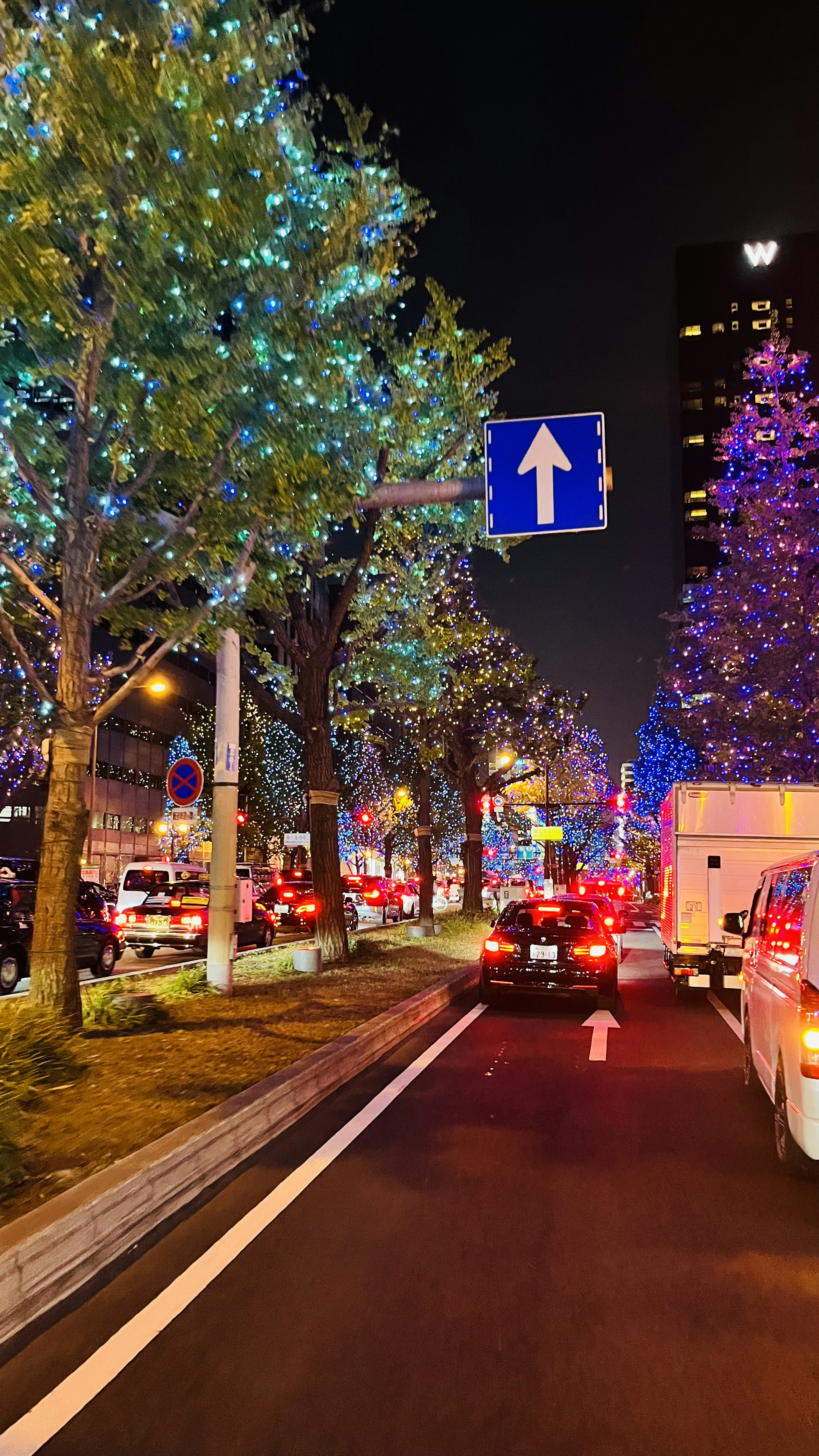 夜の街並みに輝く青と紫のイルミネーションが施された木々と交通標識