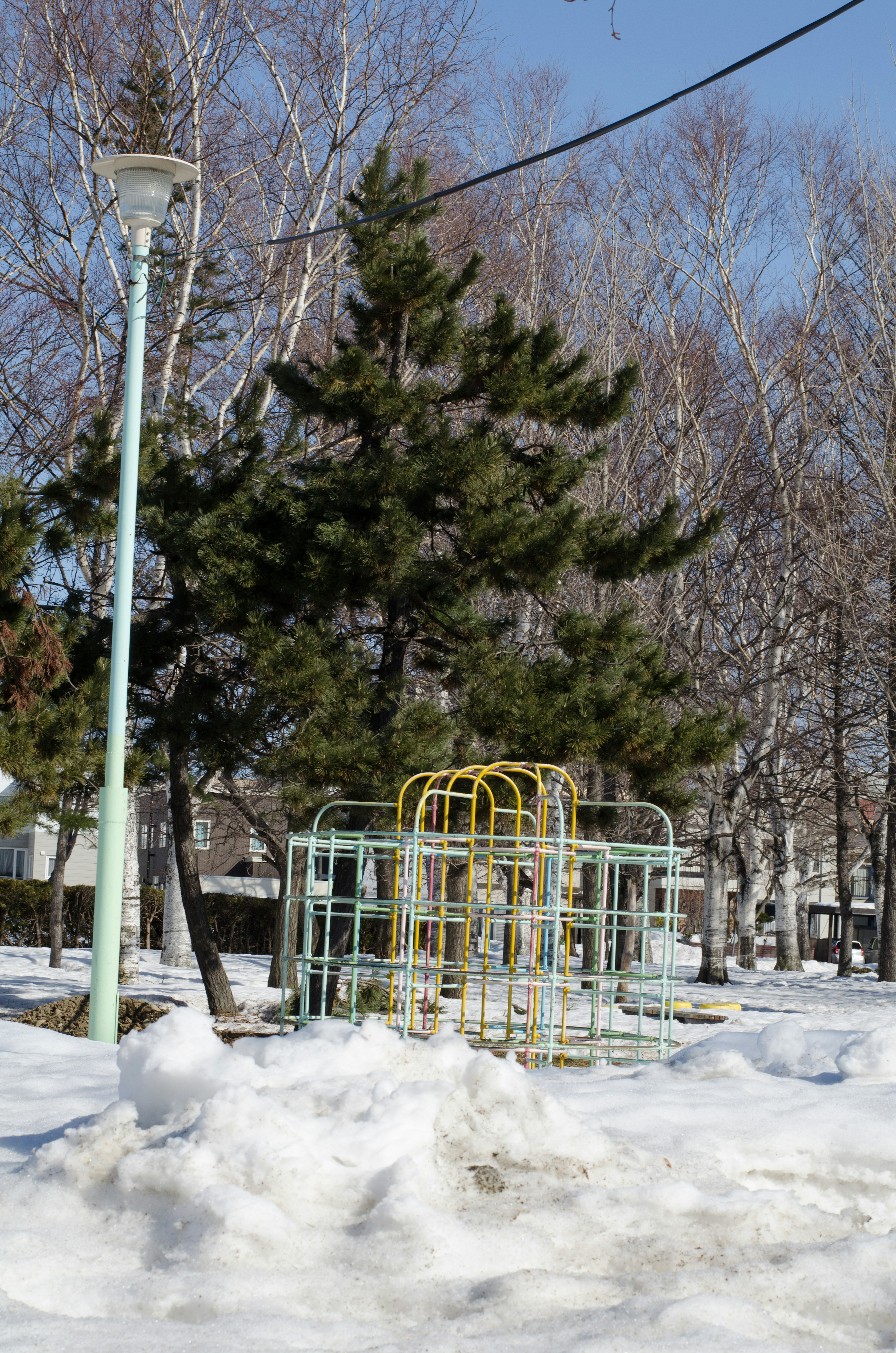 Attrezzature da gioco e albero di pino coperti di neve