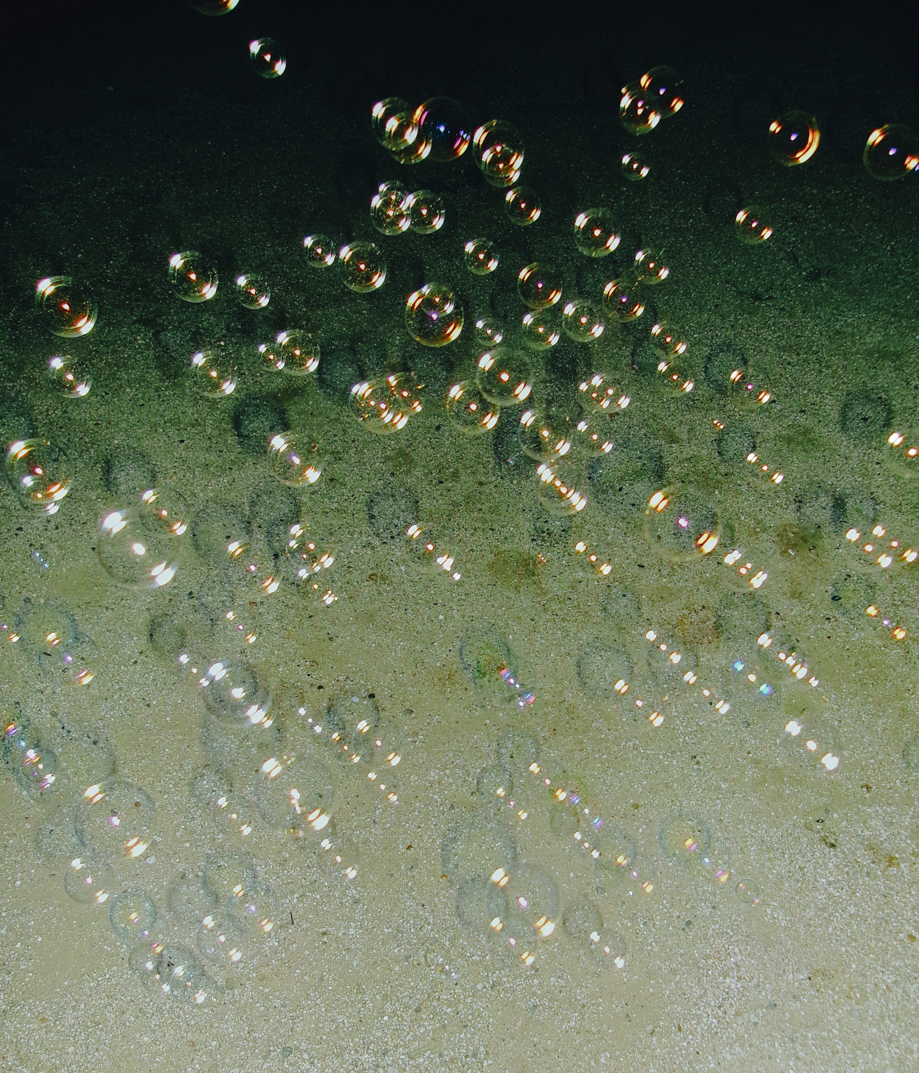 Bubbles floating in water with reflections of light