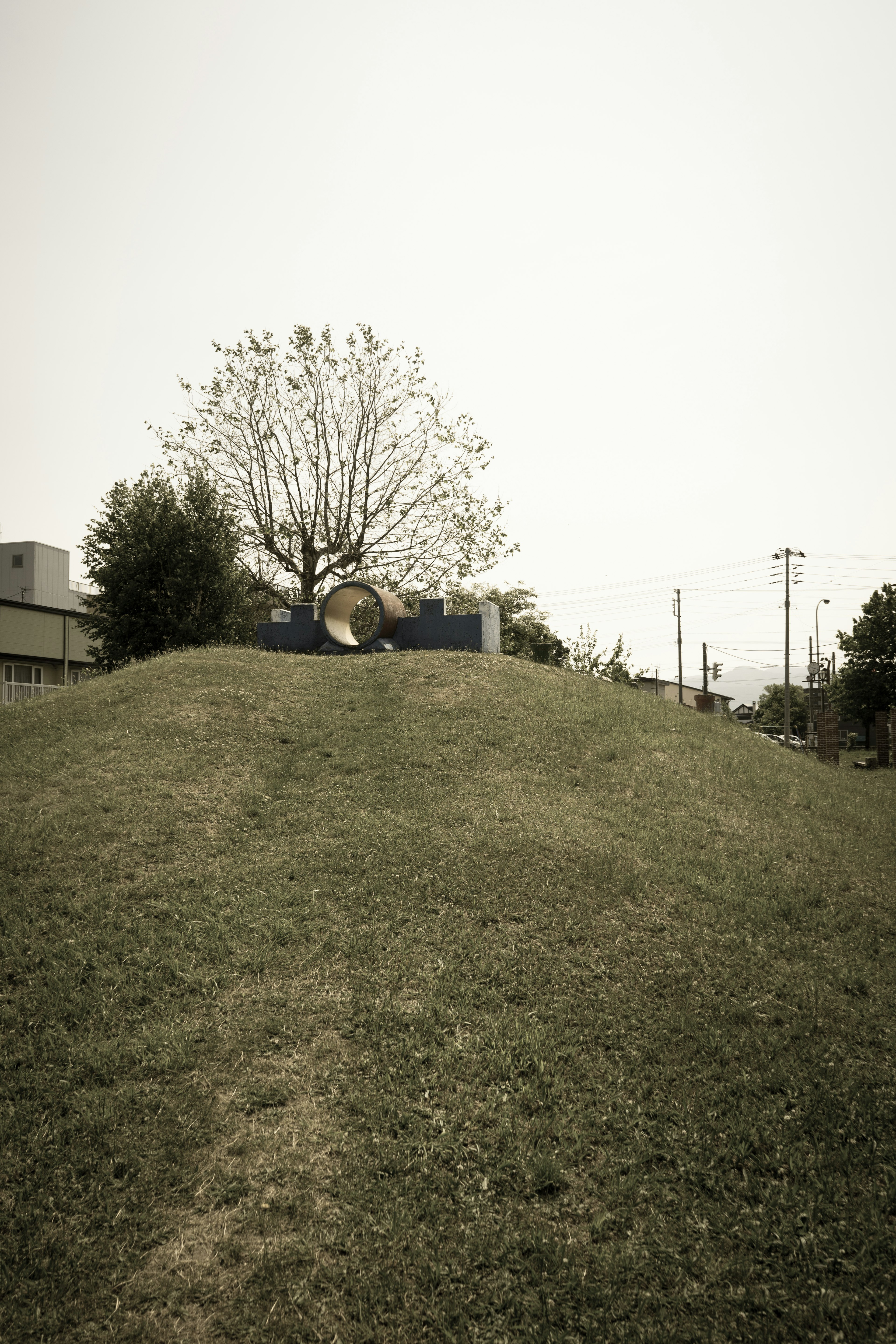 Landscape featuring a tree on a hill with buildings in the background