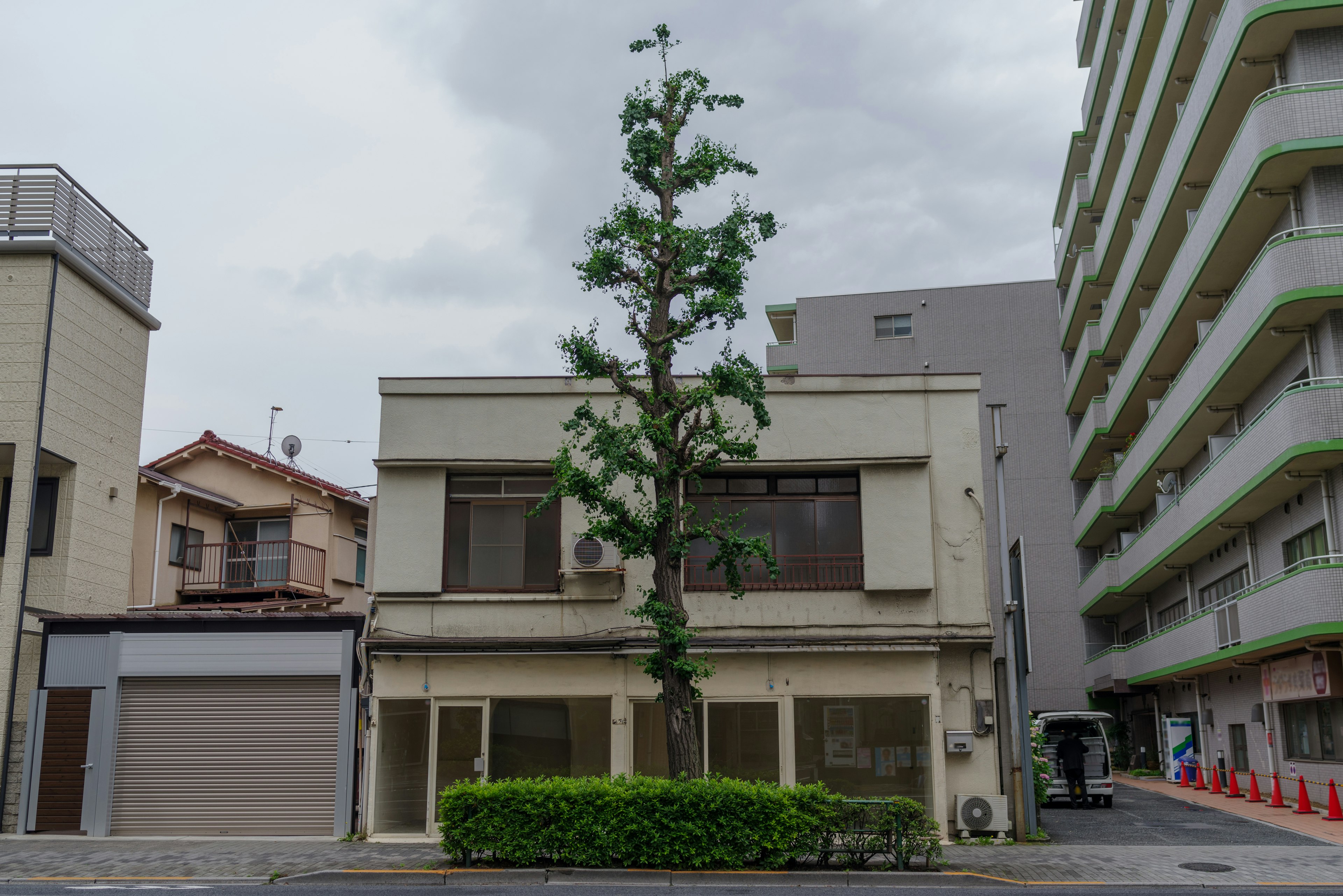 道の真ん中に立つ独特なデザインの建物と高い木