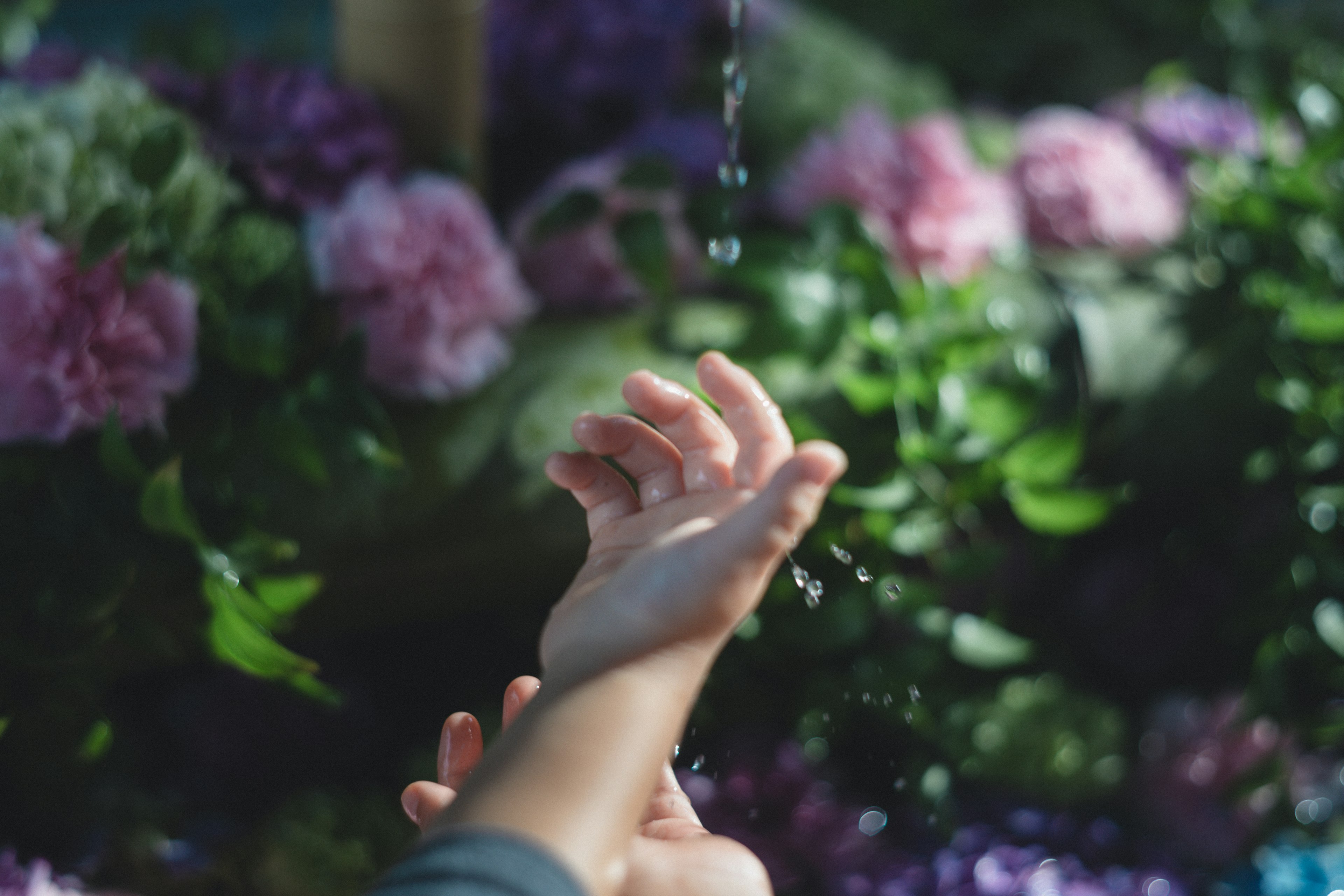 A hand reaching out as water droplets fall against a backdrop of blooming flowers