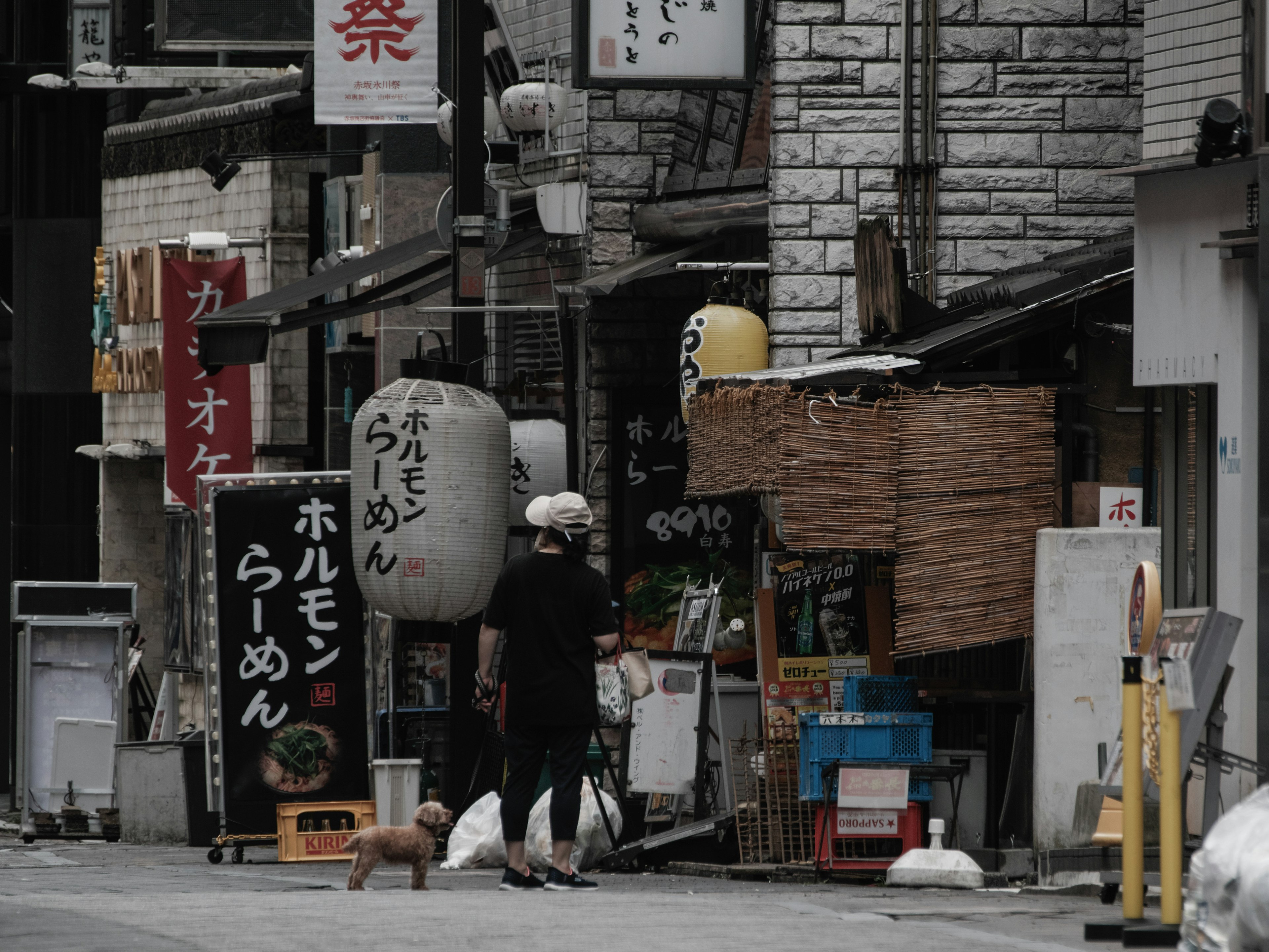 Esquina de calle tranquila con un restaurante de ramen japonés y un perro