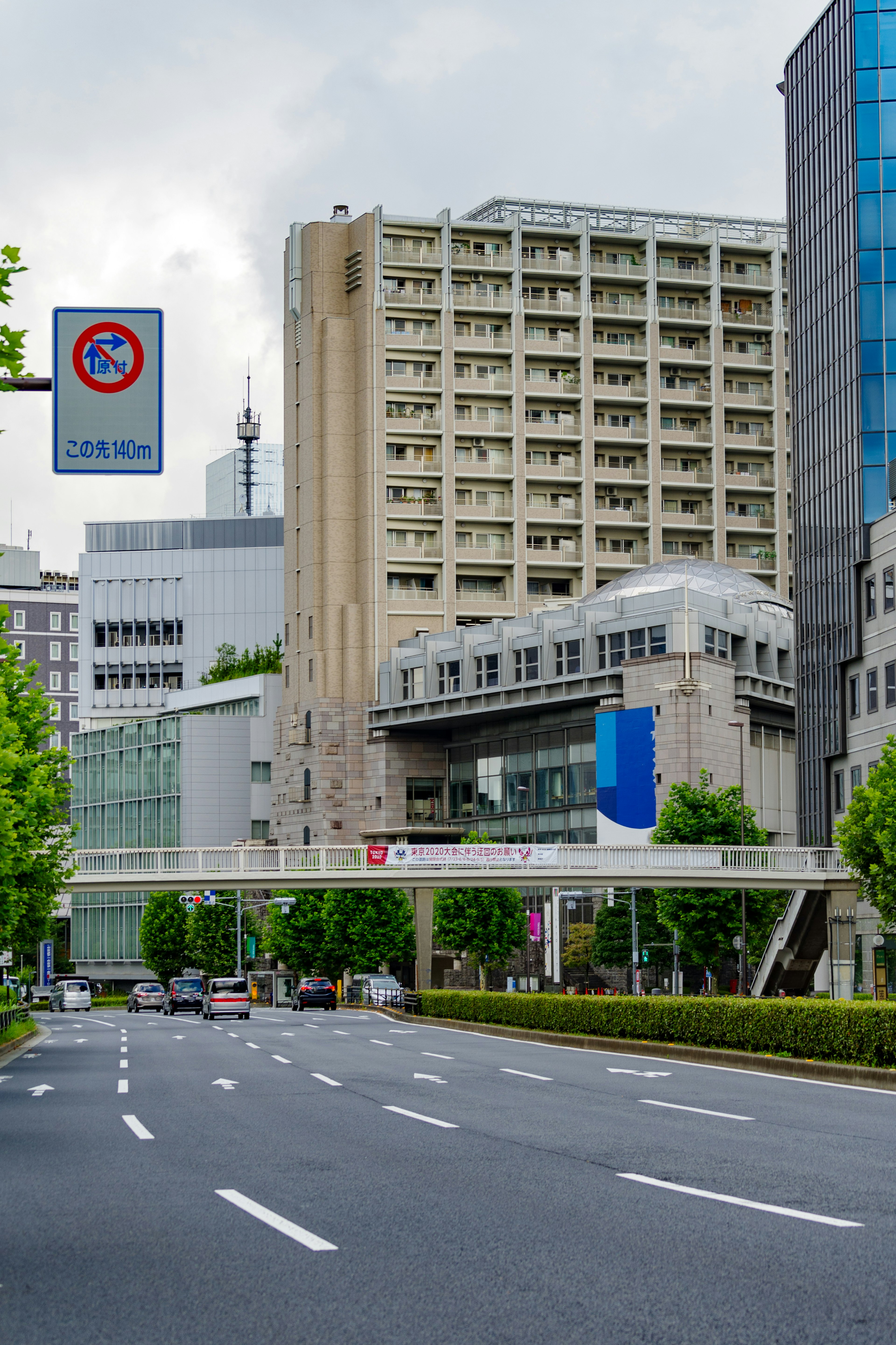 城市街道与高层建筑和绿树