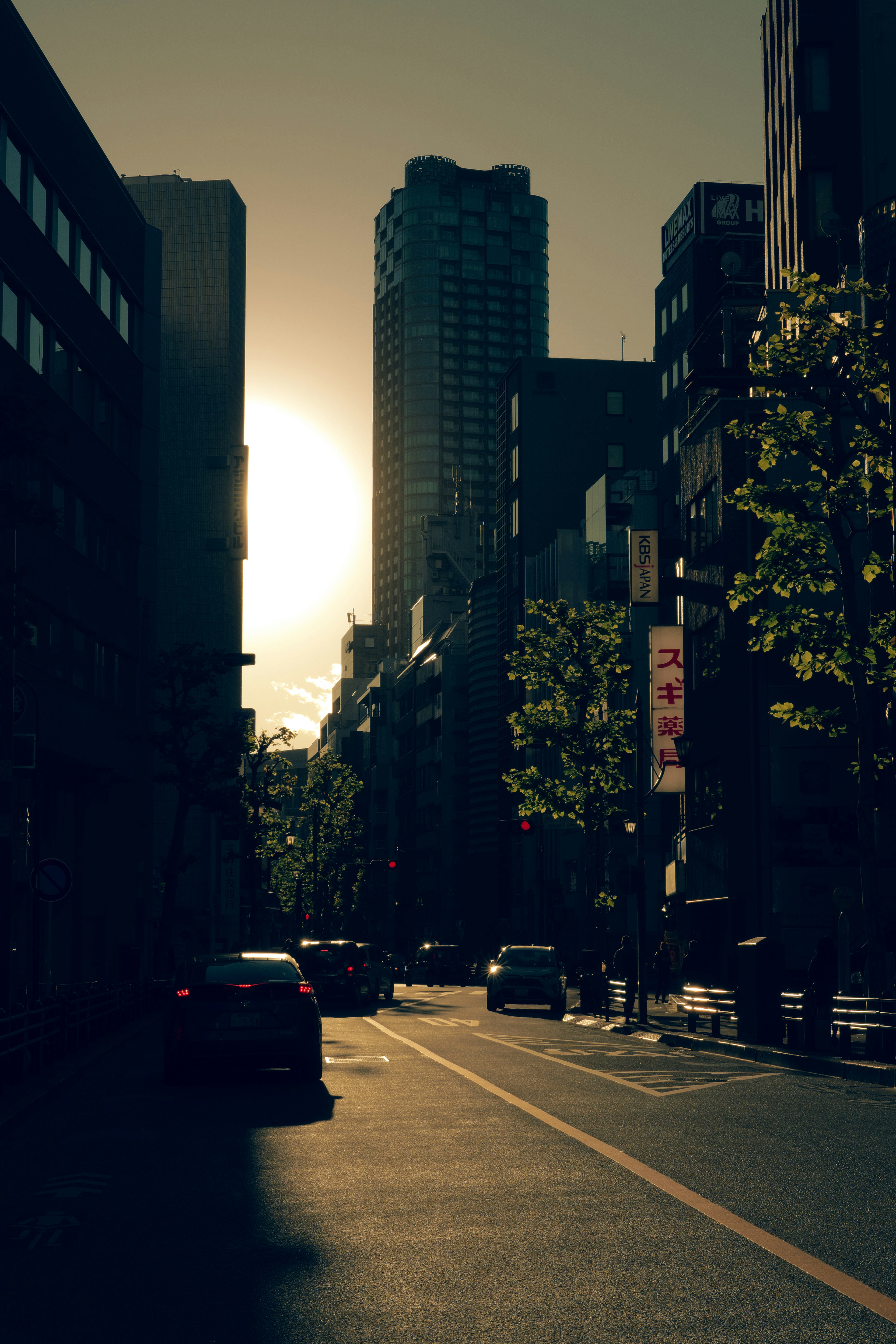 Cityscape at sunset featuring tall buildings and silhouetted trees