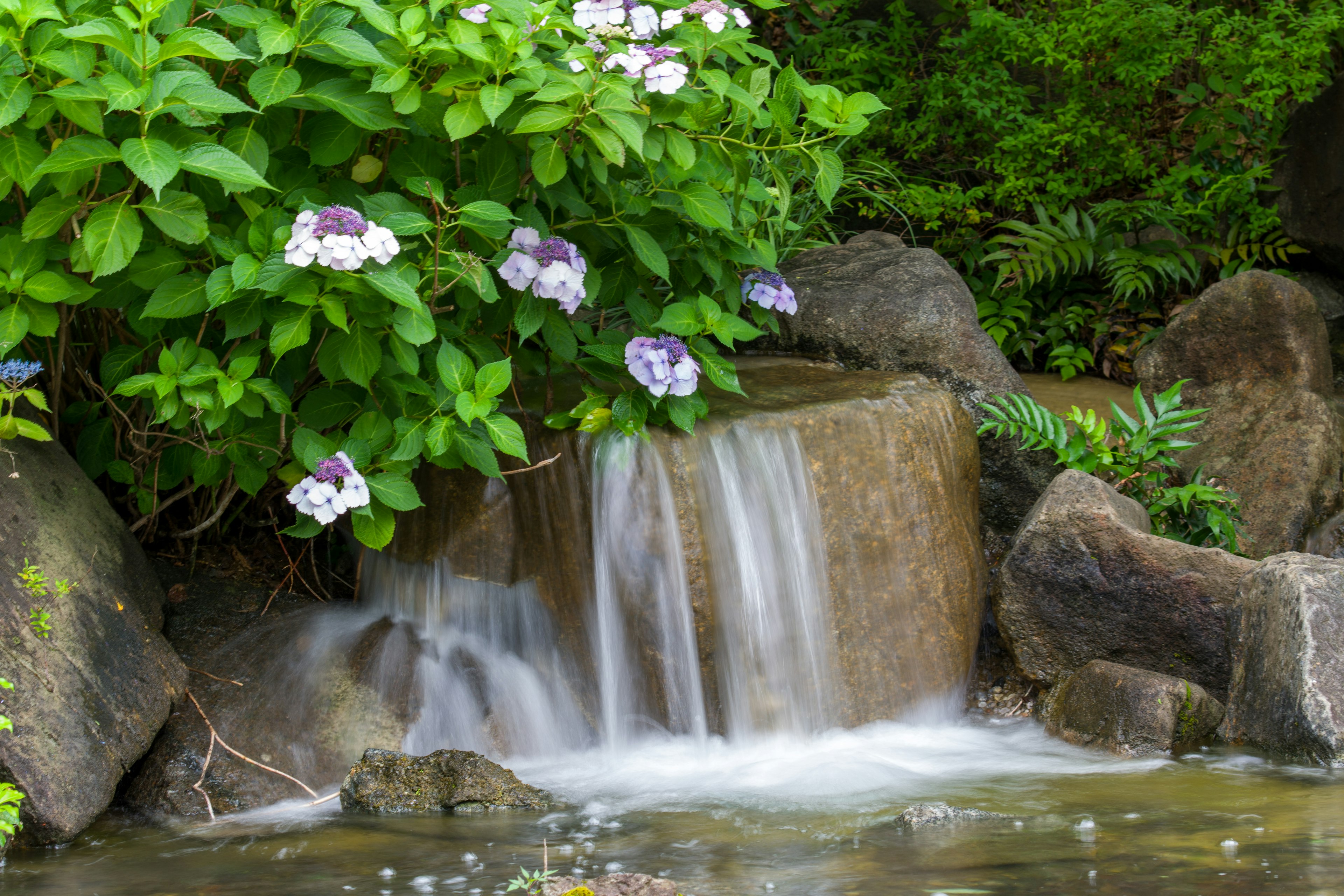 Una vista escénica de una pequeña cascada rodeada de plantas verdes y flores moradas