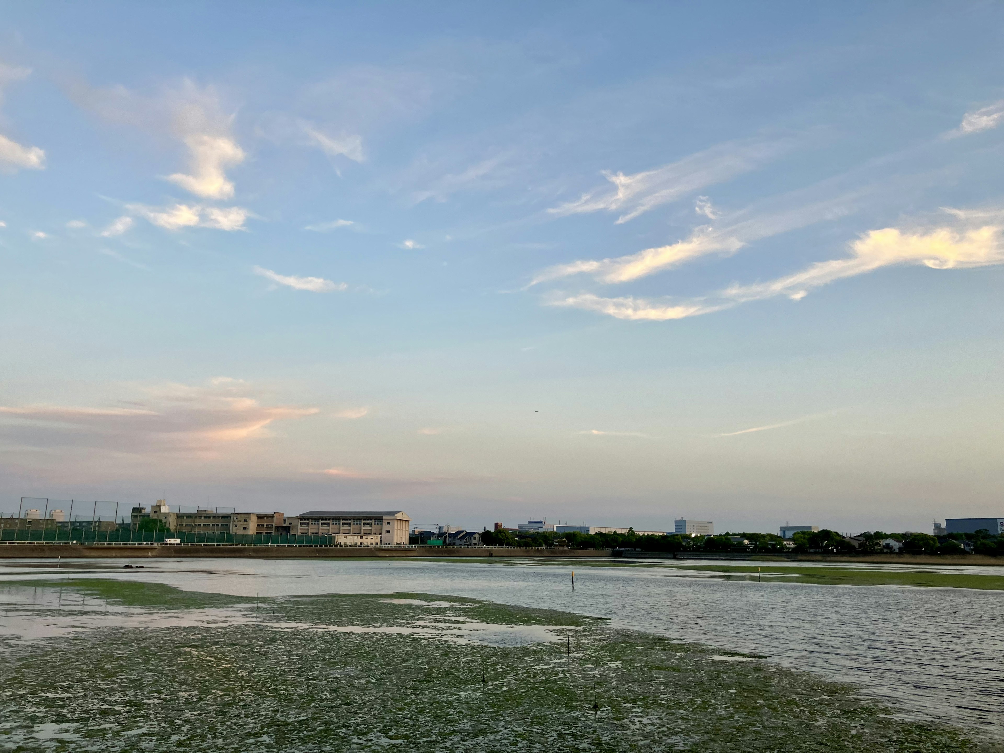 青空と雲が広がる風景に水が広がる田んぼと建物