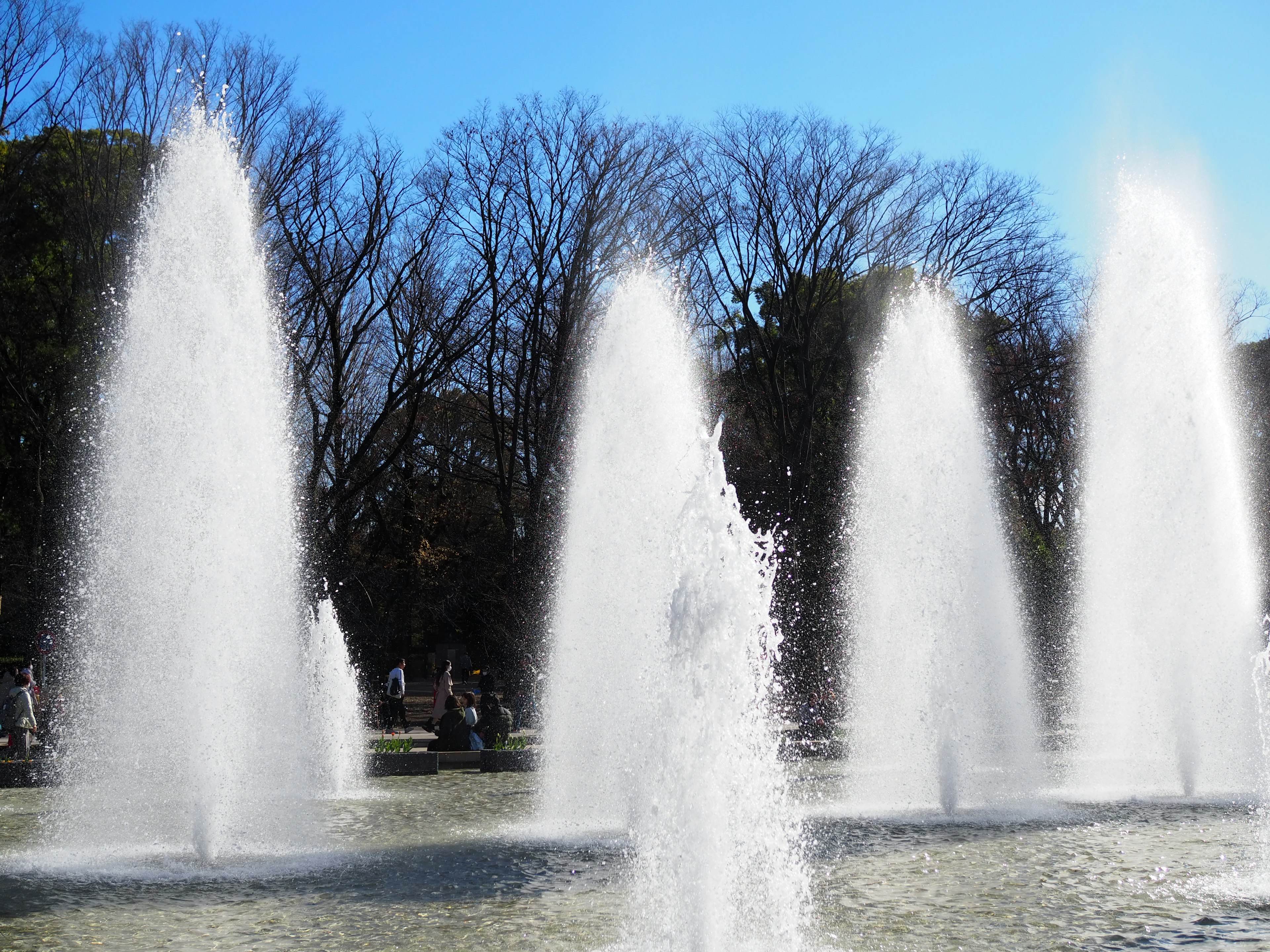 Fontaines d'un parc projetant de l'eau dans les airs