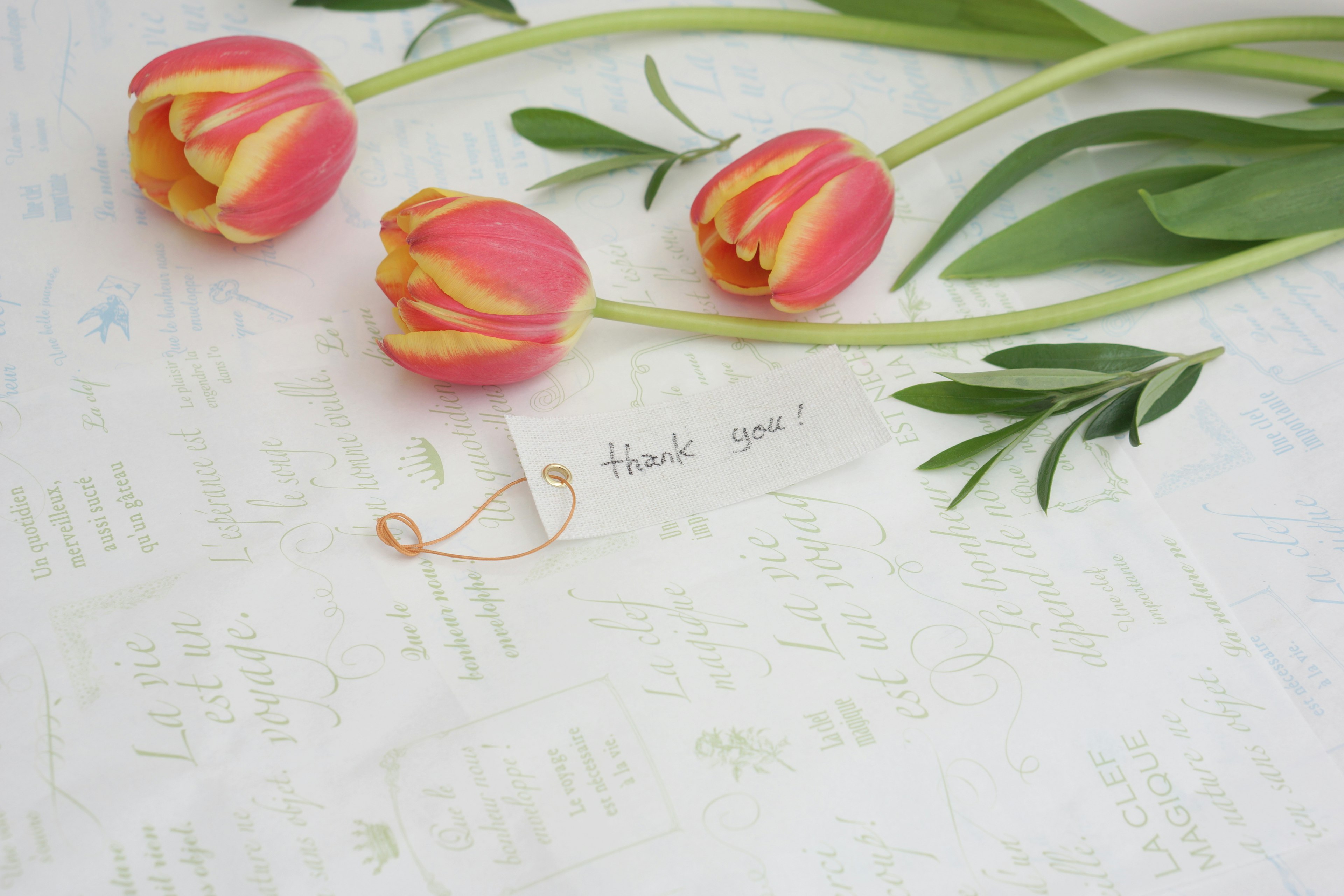 Image featuring pink tulips and green leaves beside a thank you note