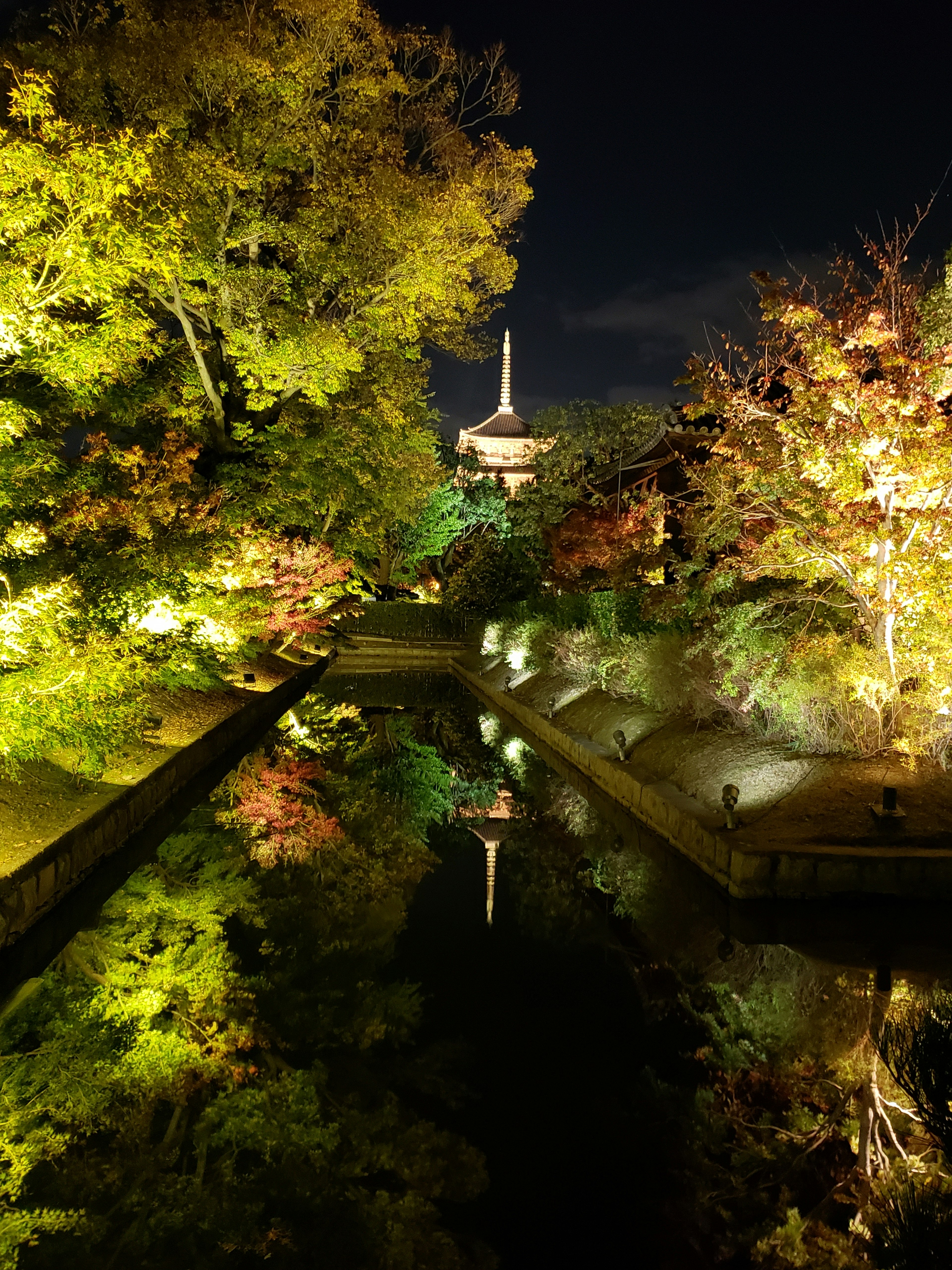 Giardino notturno con foglie autunnali illuminate e una pagoda